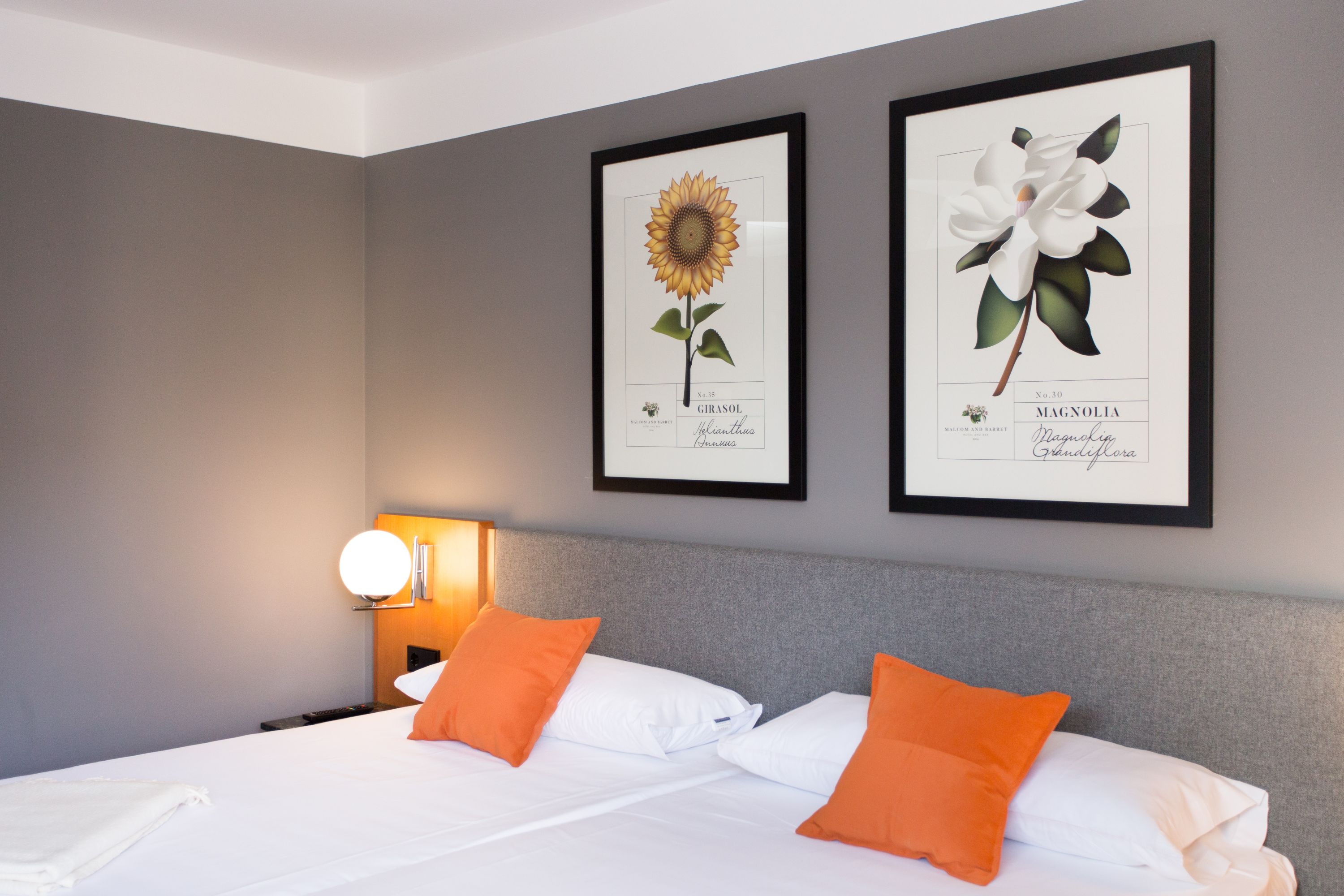 Double or Twin Capacity 2