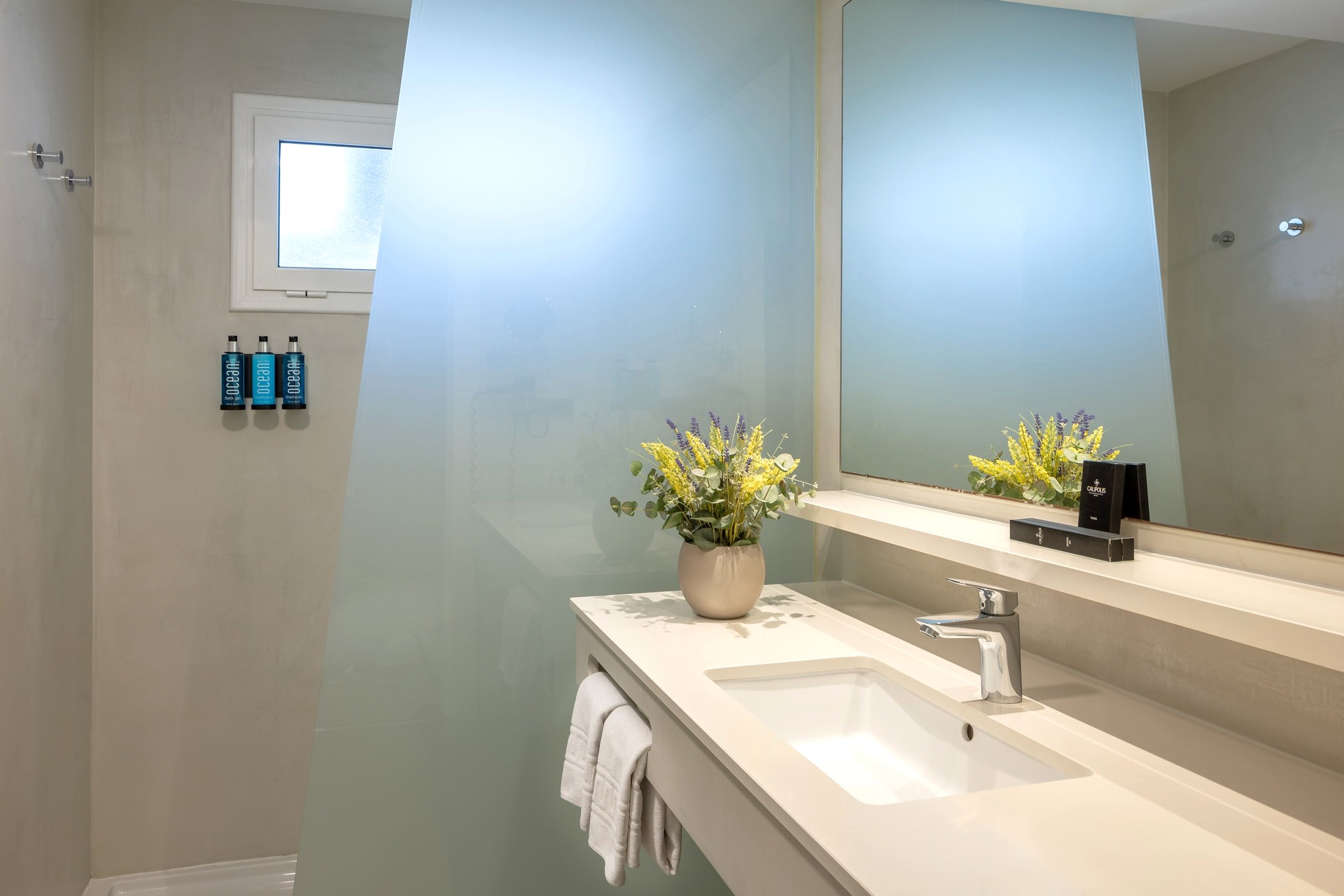 Double or Twin Mountain View