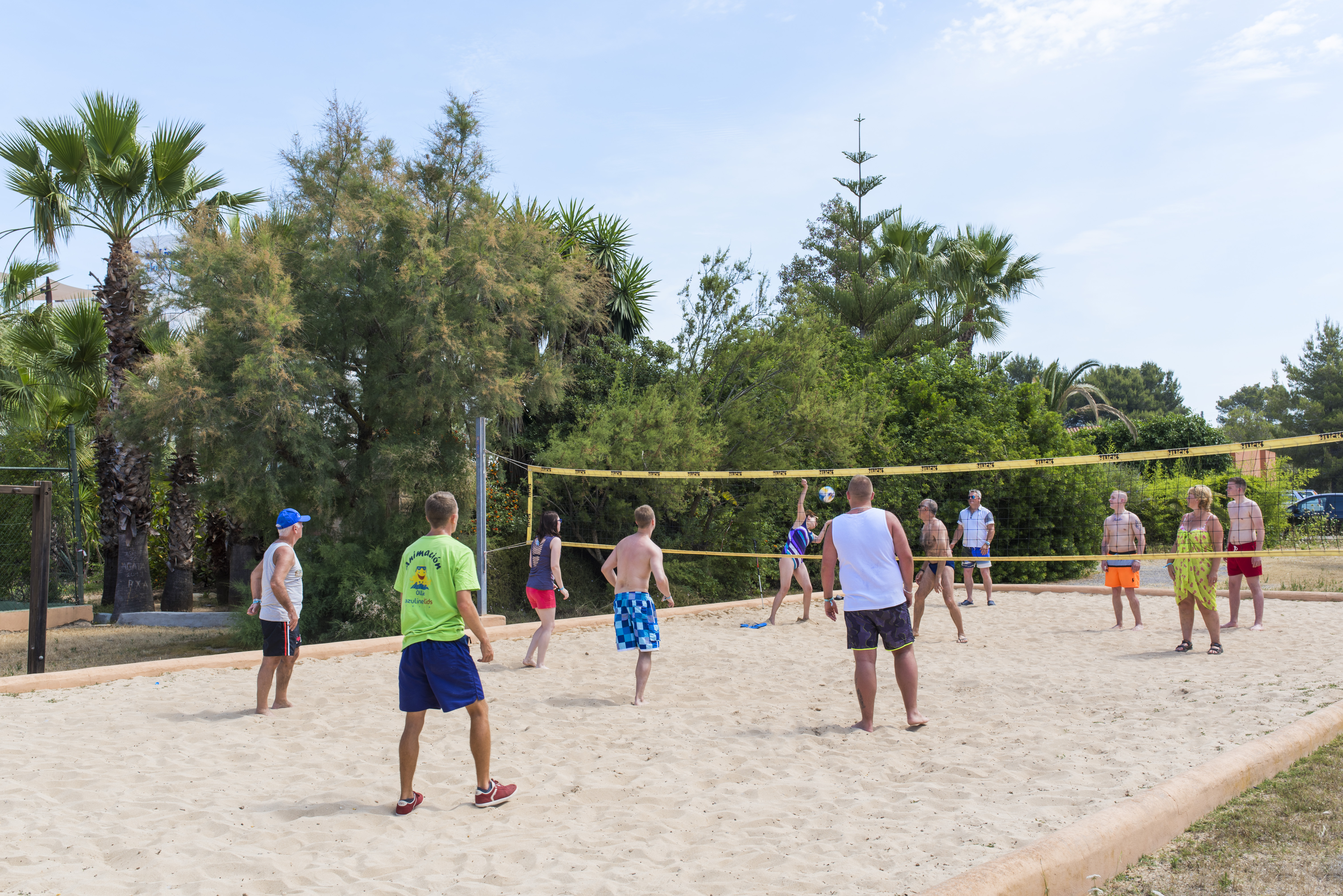 Sports and Entertainment