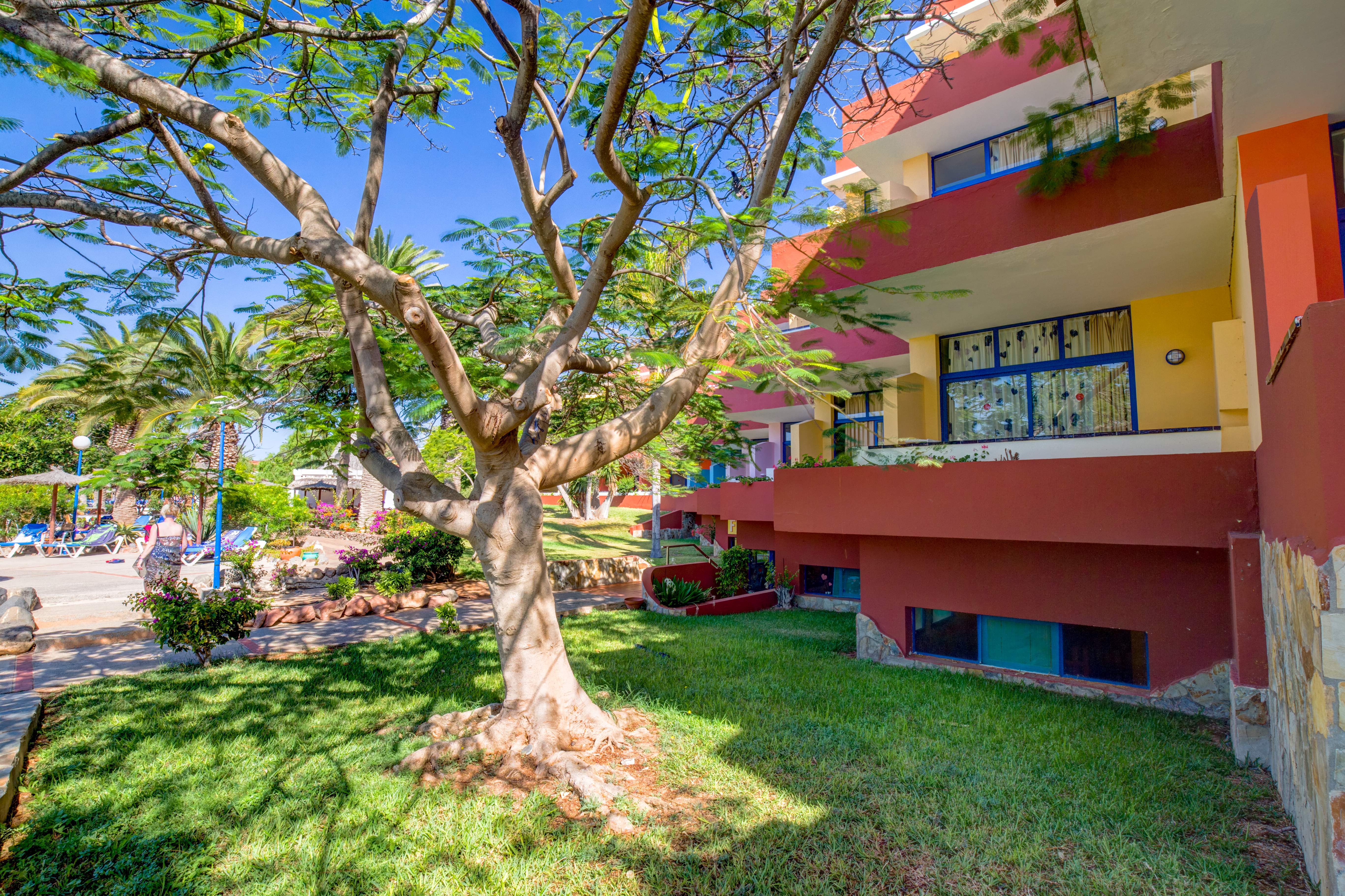 Family Room Standard