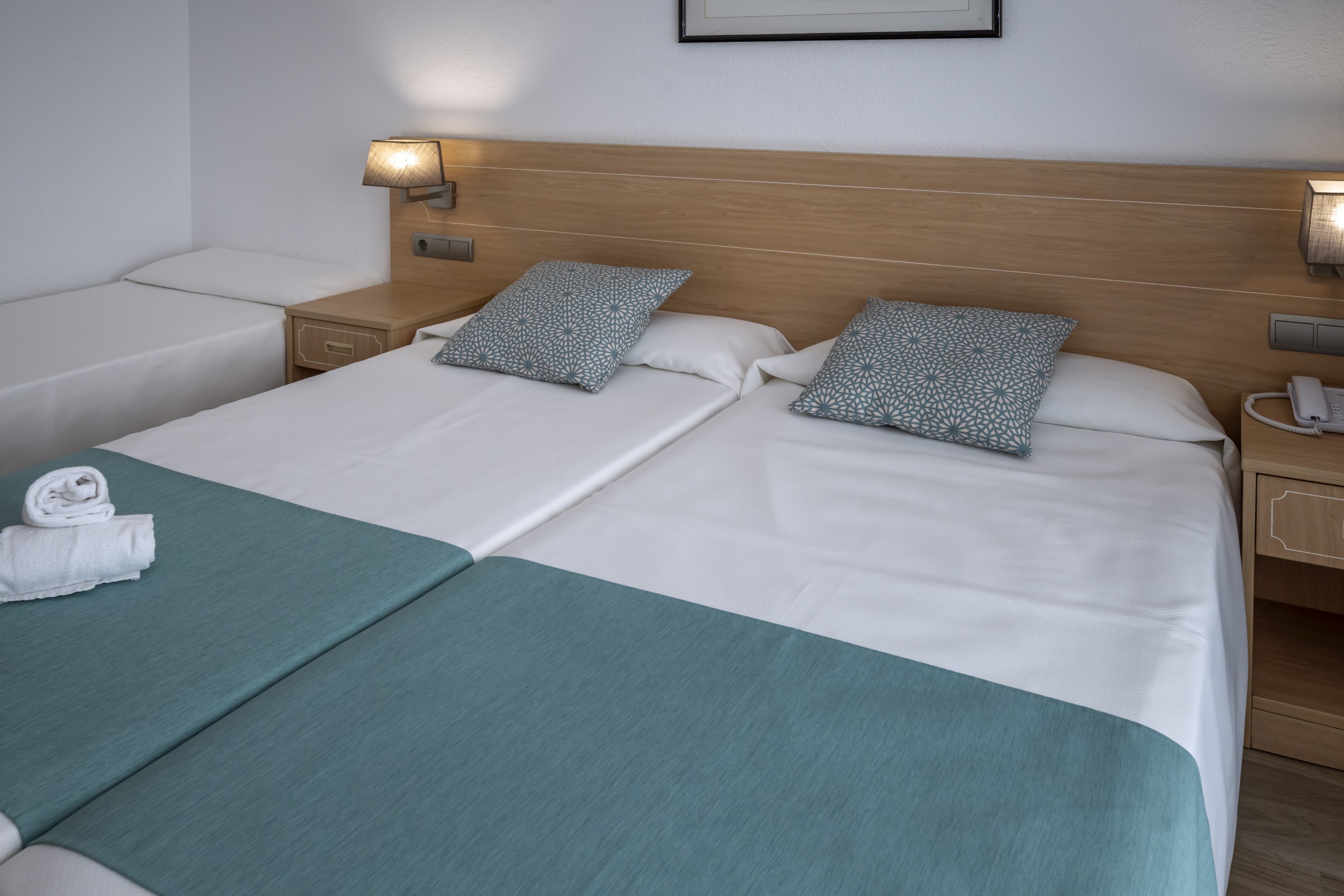 Double or Twin Standard