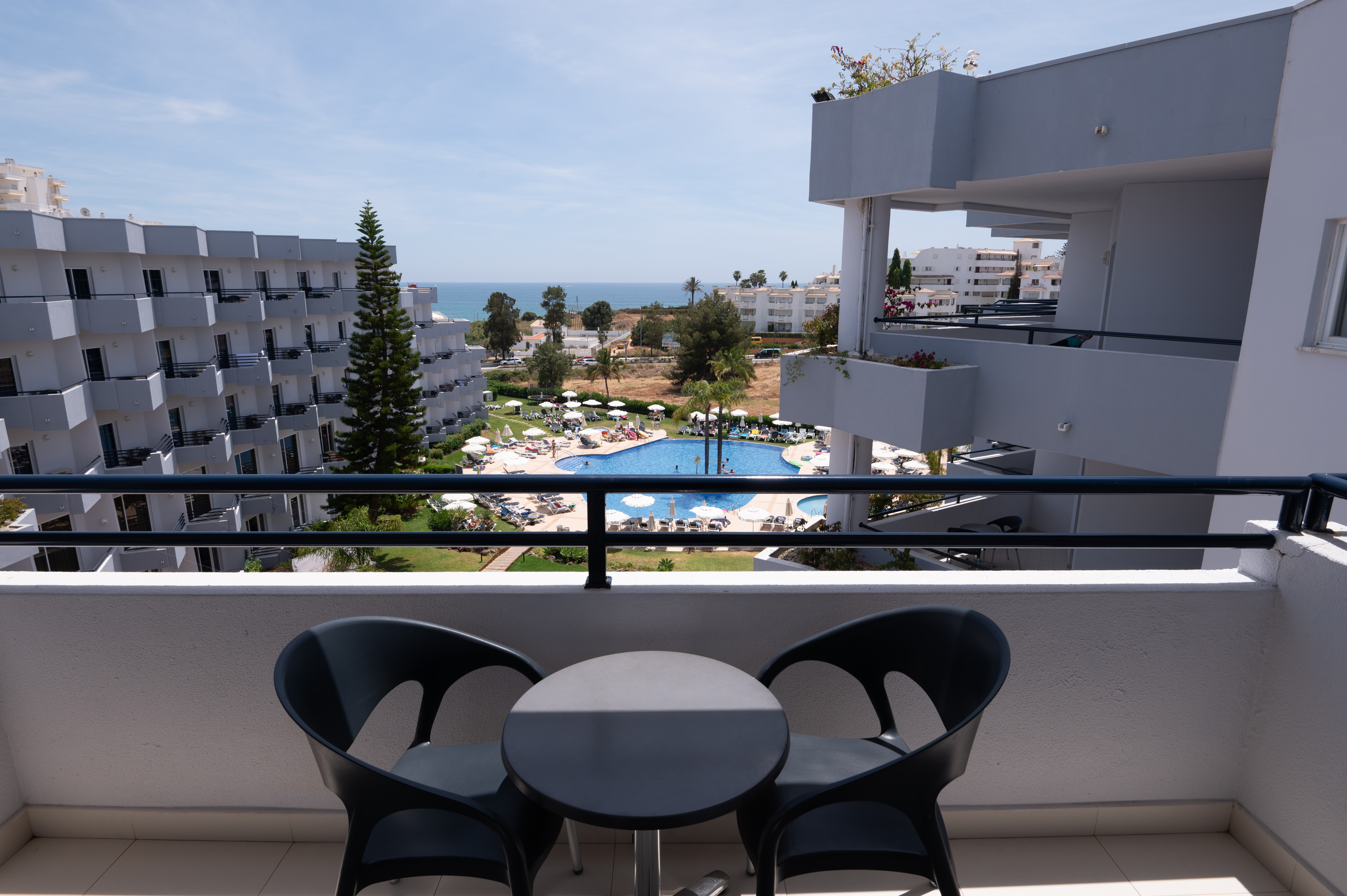 Family Room Pool View
