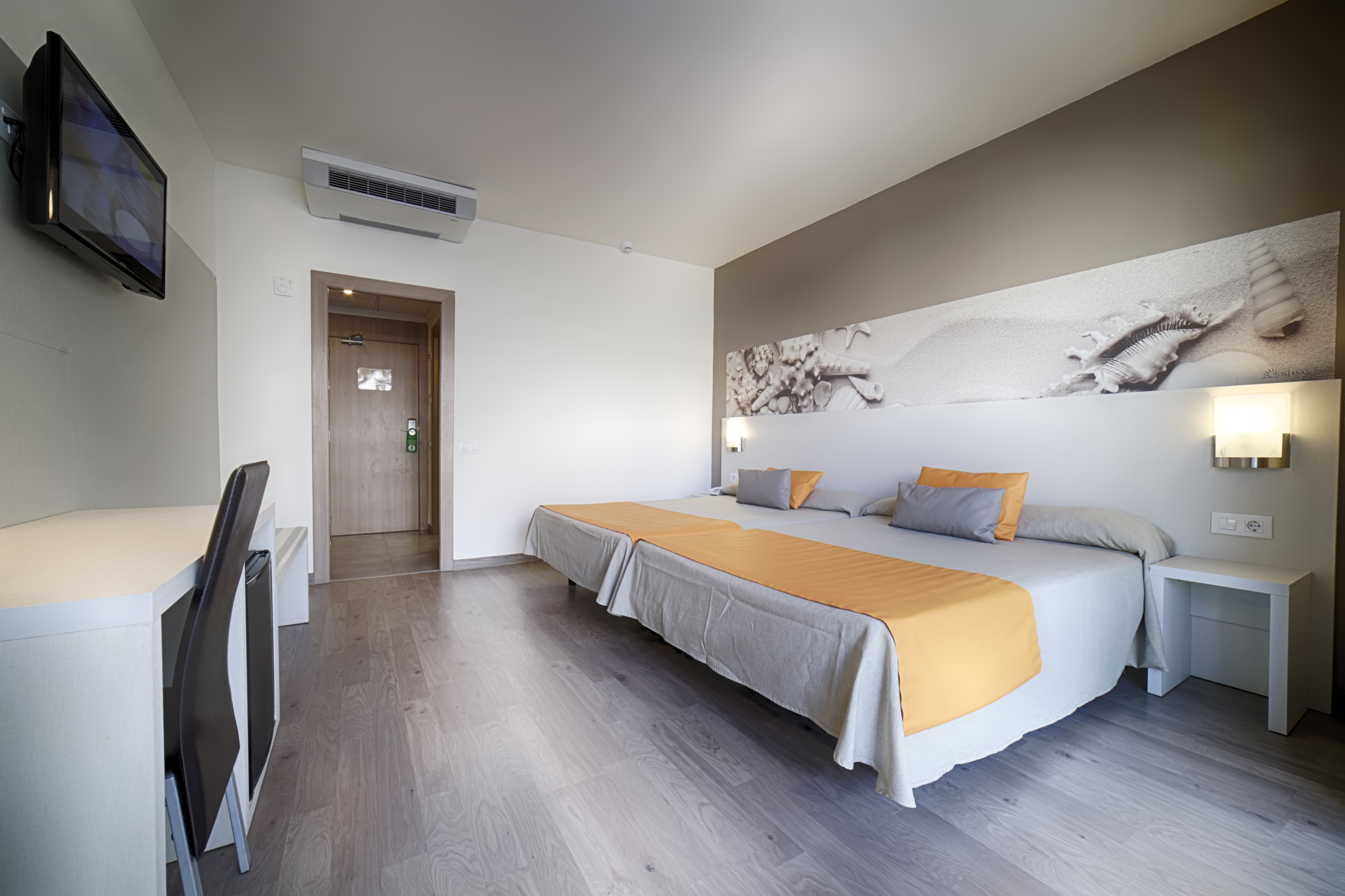 Double or Twin Standard