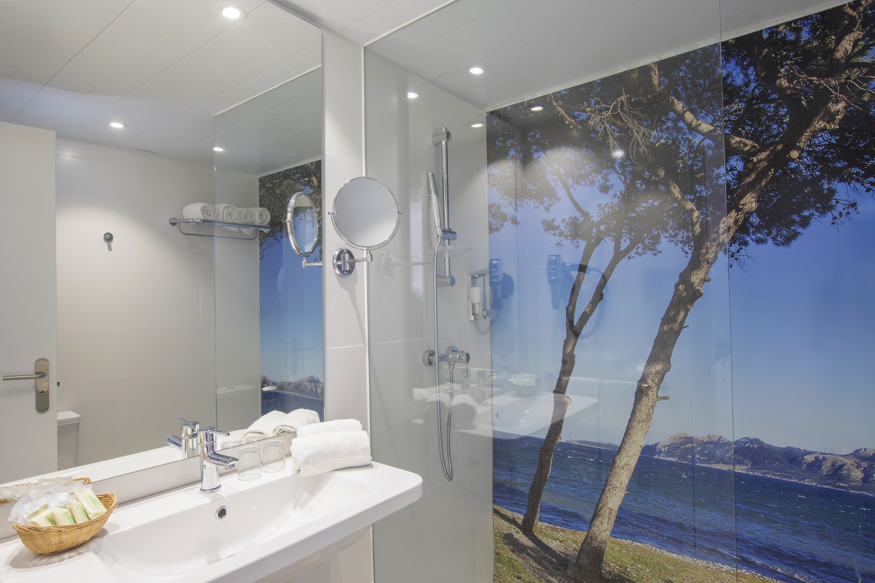 Apartment Capacity 4