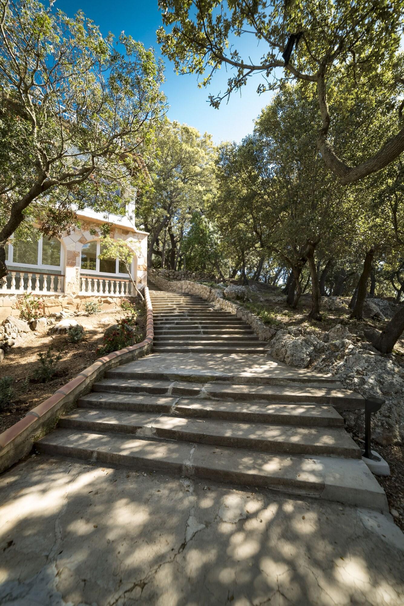 Double Superior Mountain View