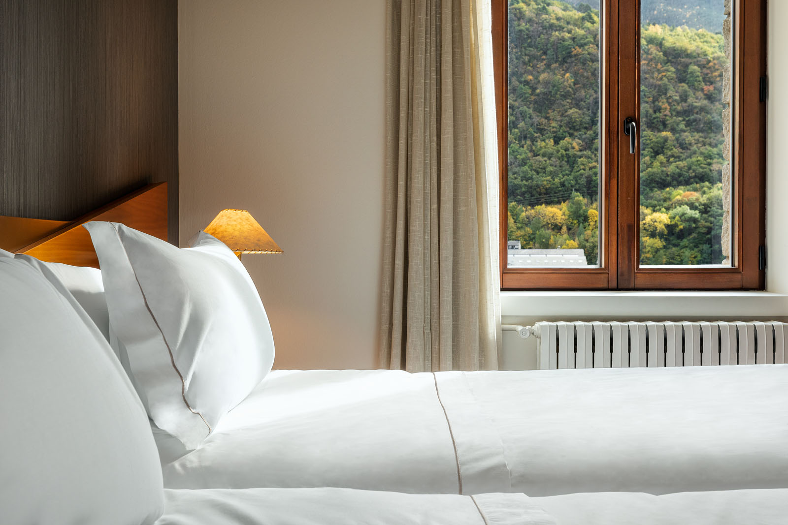 Double or Twin Standard