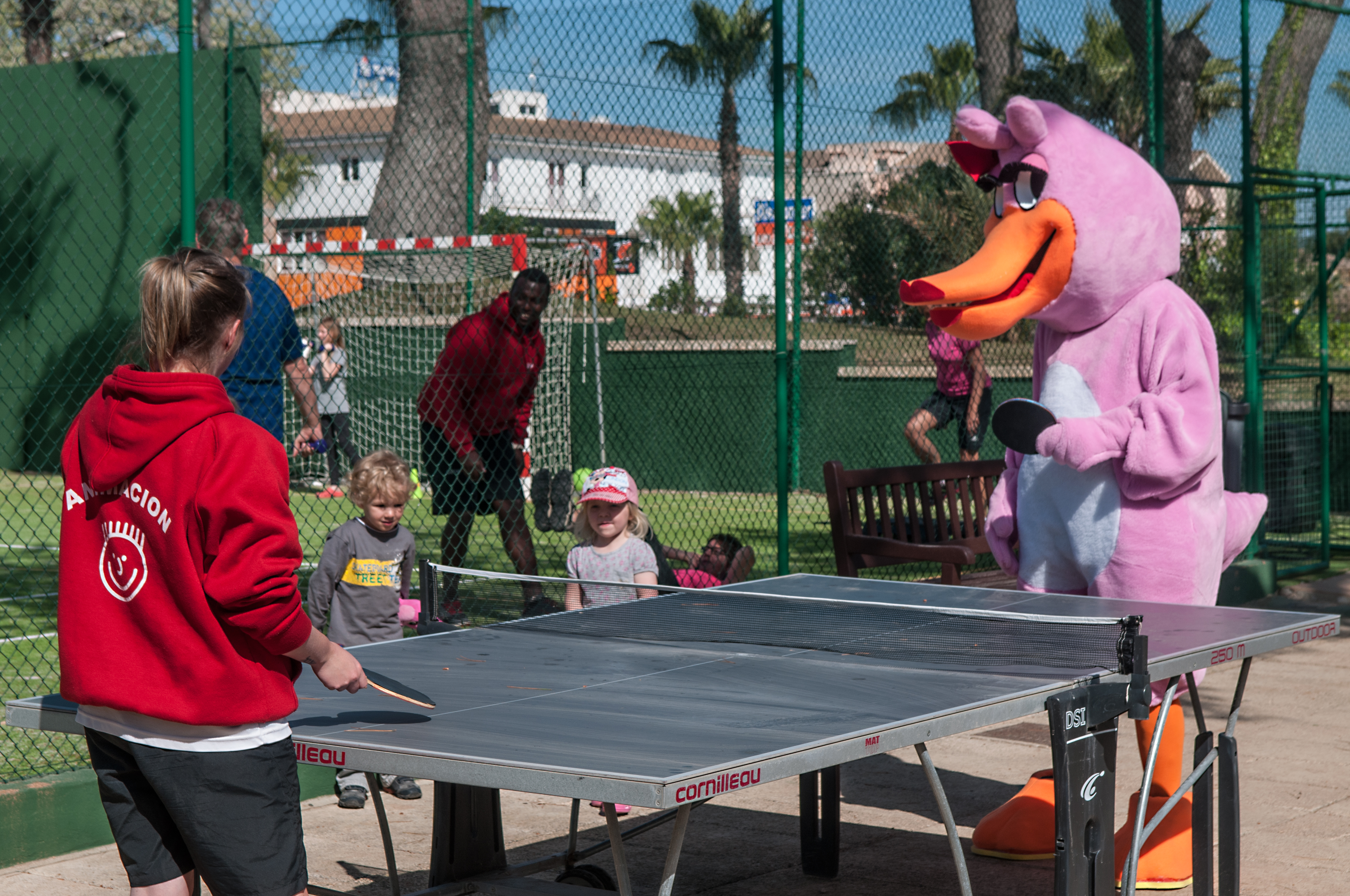 Sports and Entertainment