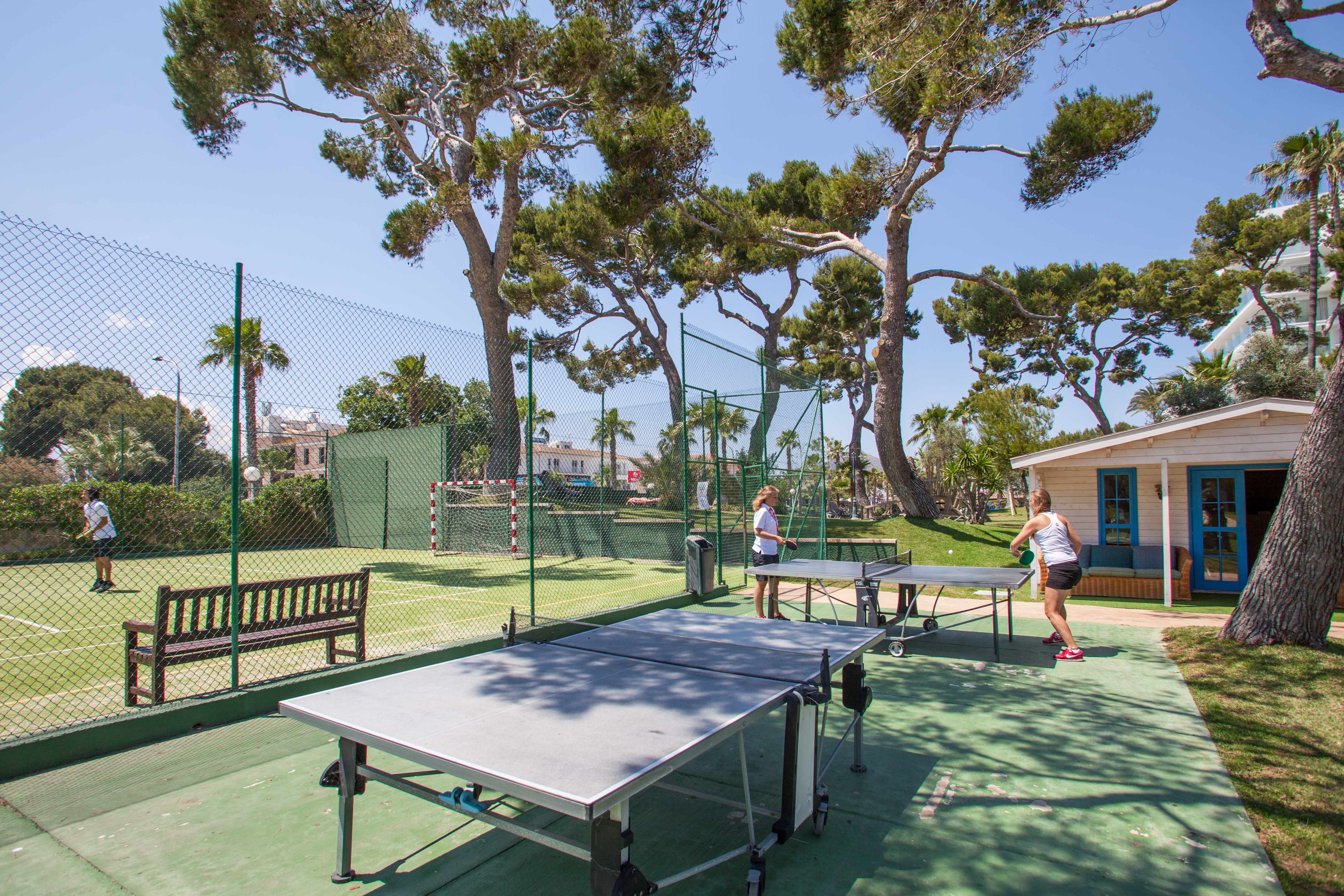 Sports and Entertainment