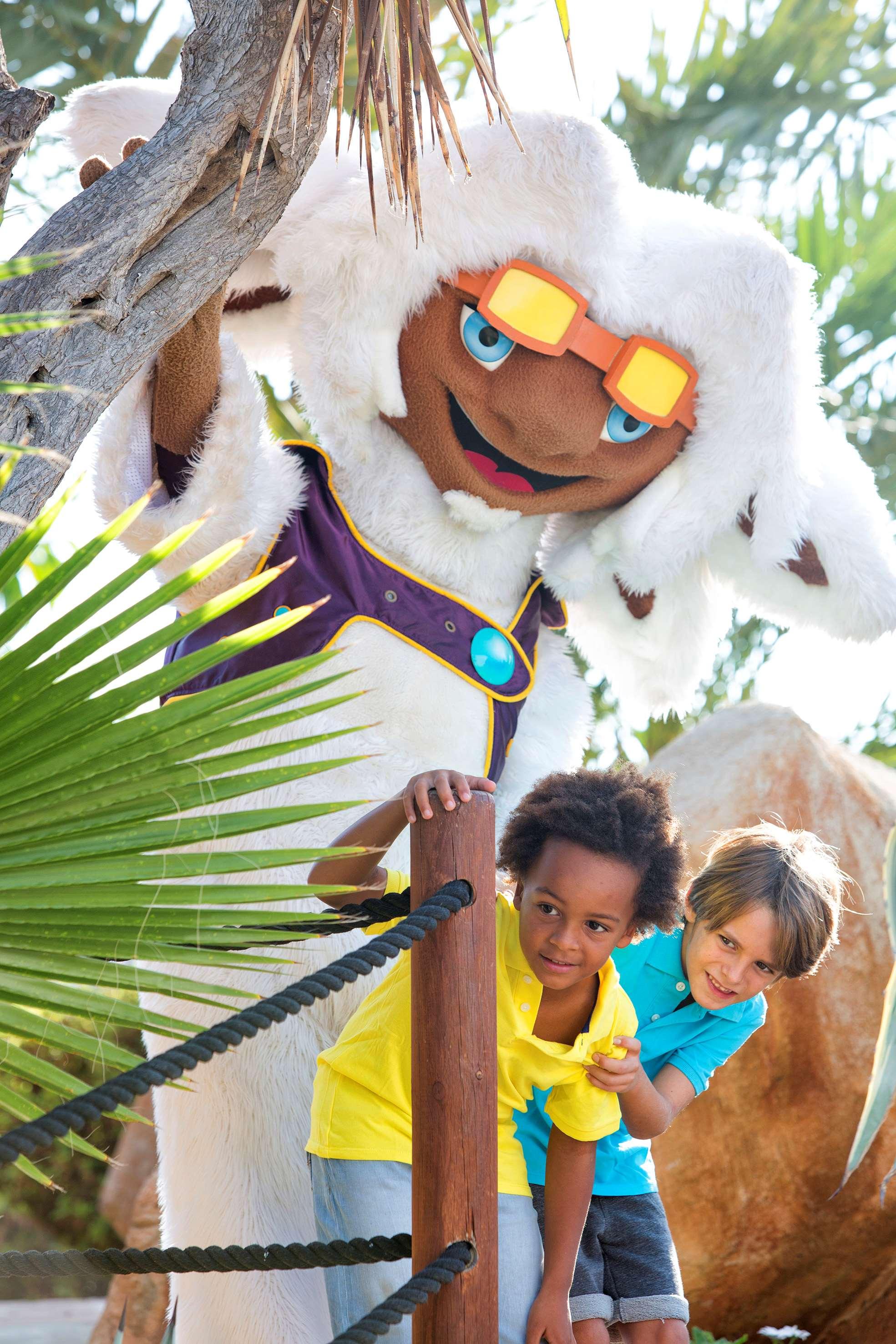 Sports and Entertainment