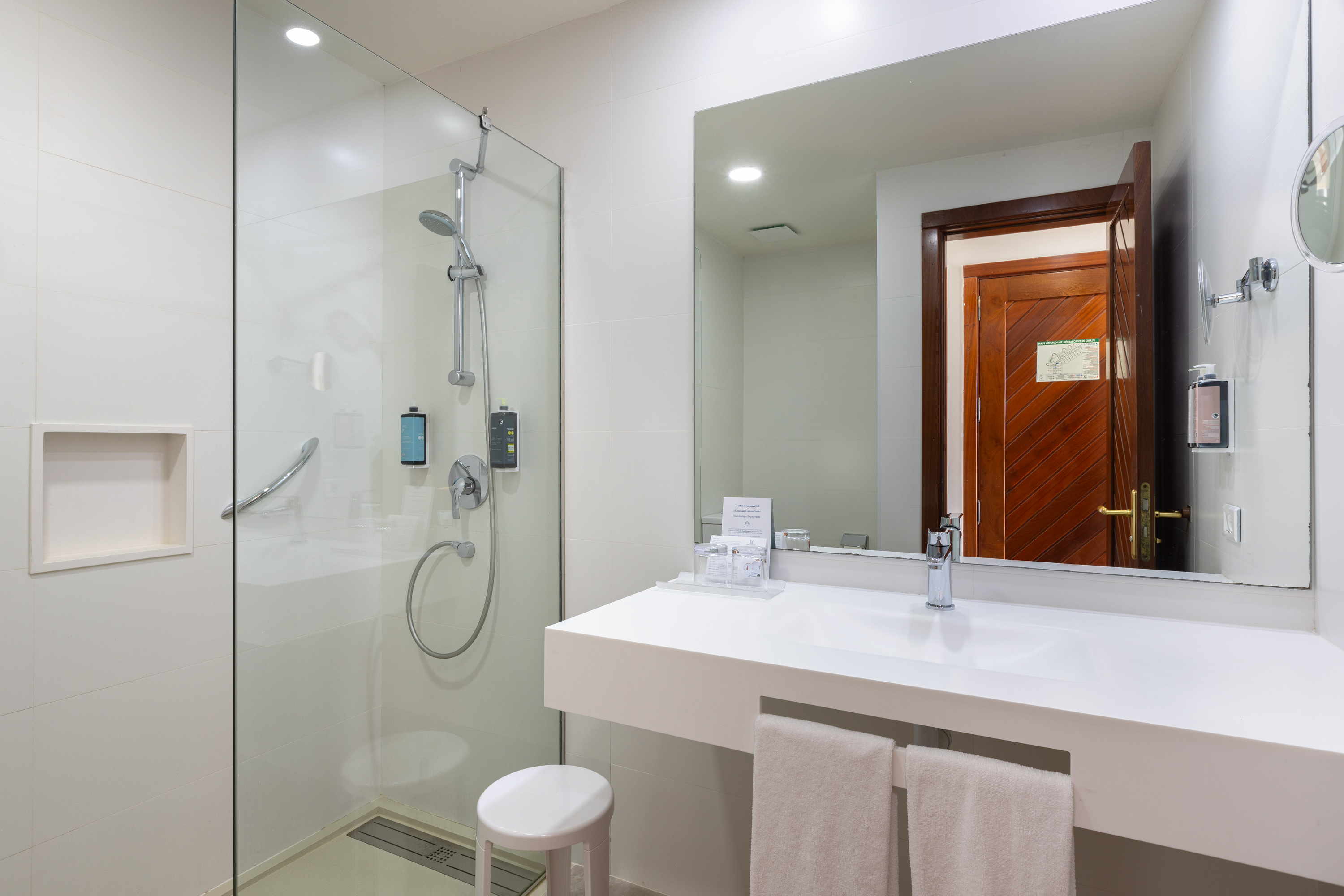 Double or Twin Economy