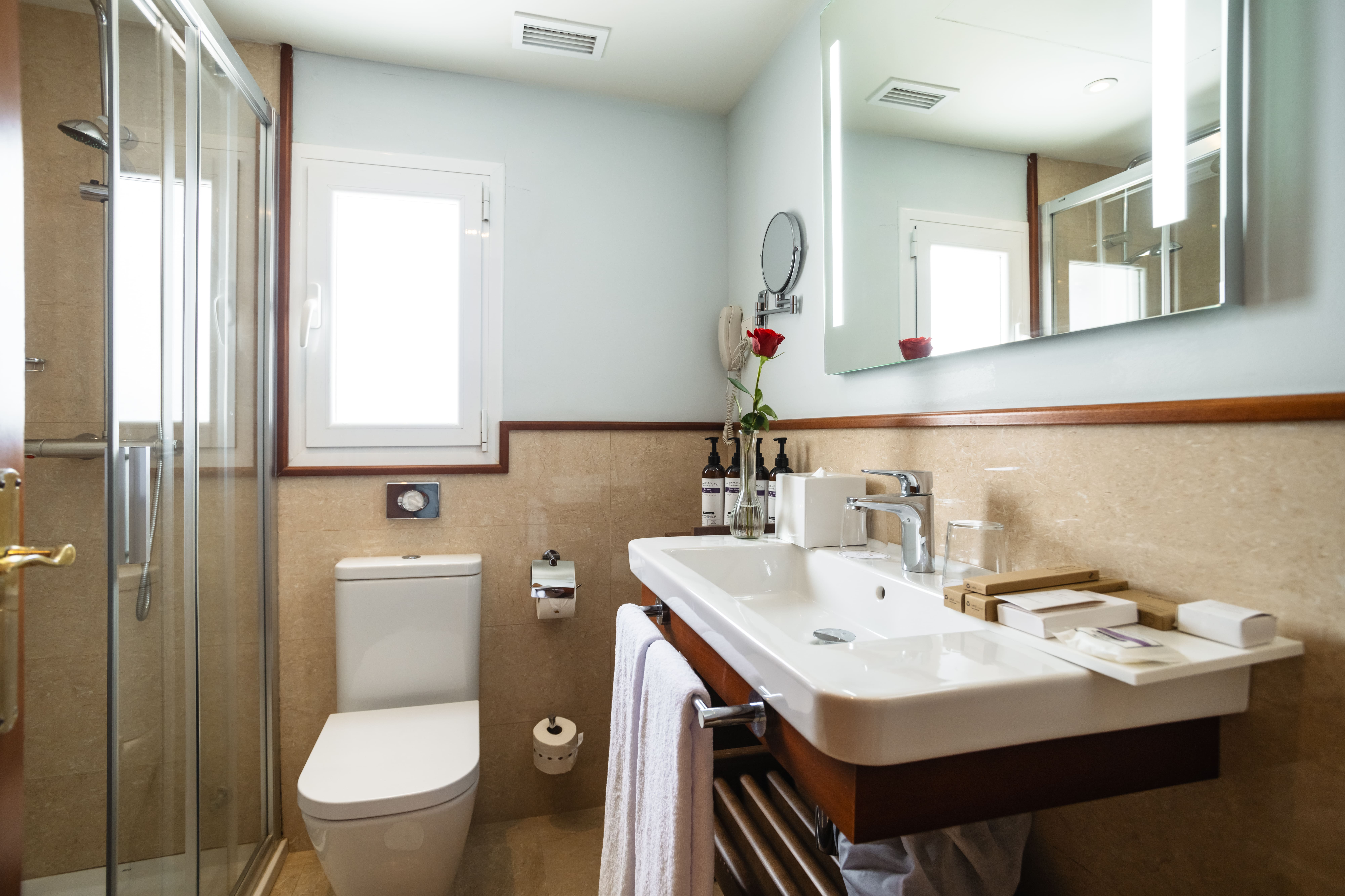 Junior Suite with Terrace