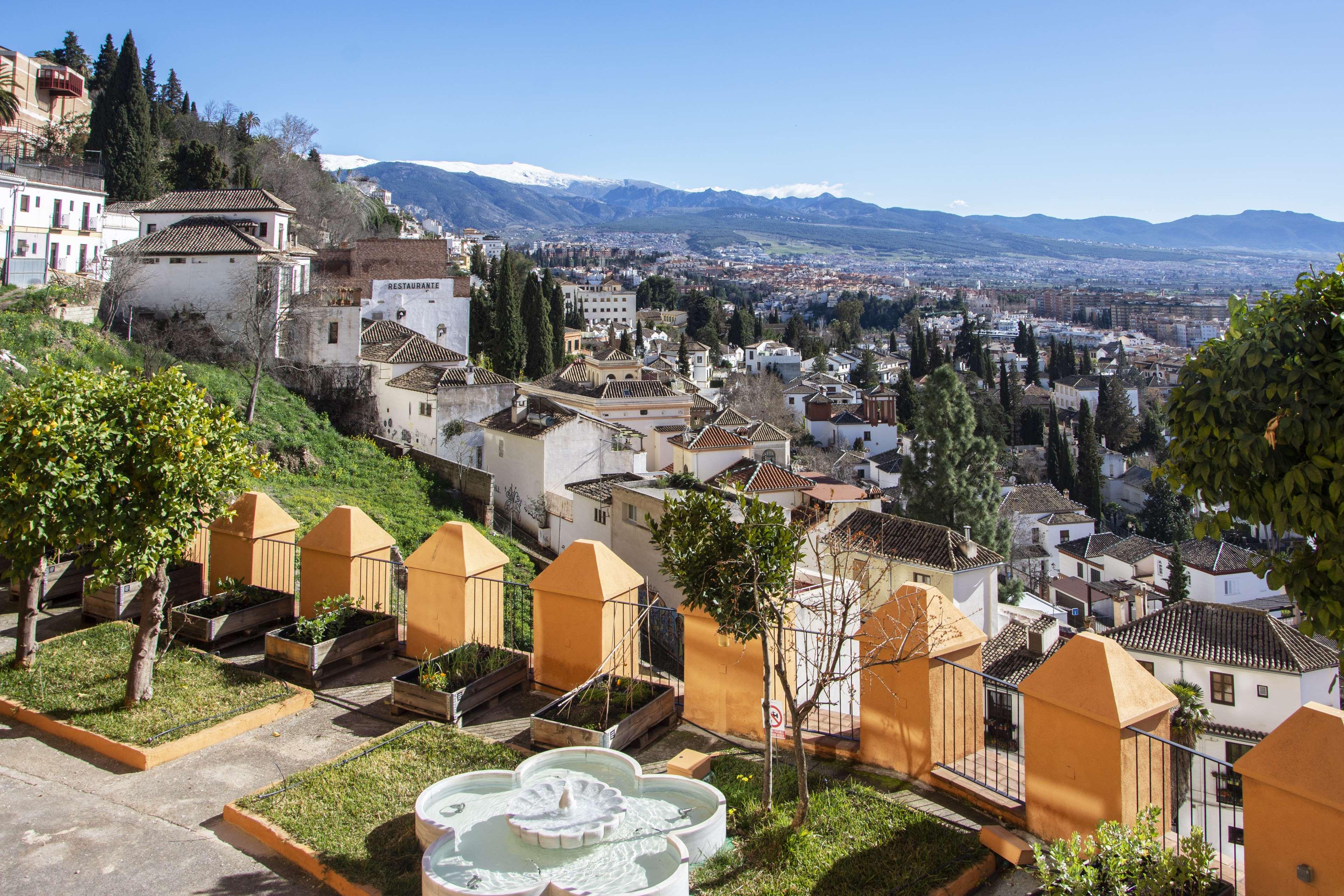 Family Room One Bedroom
