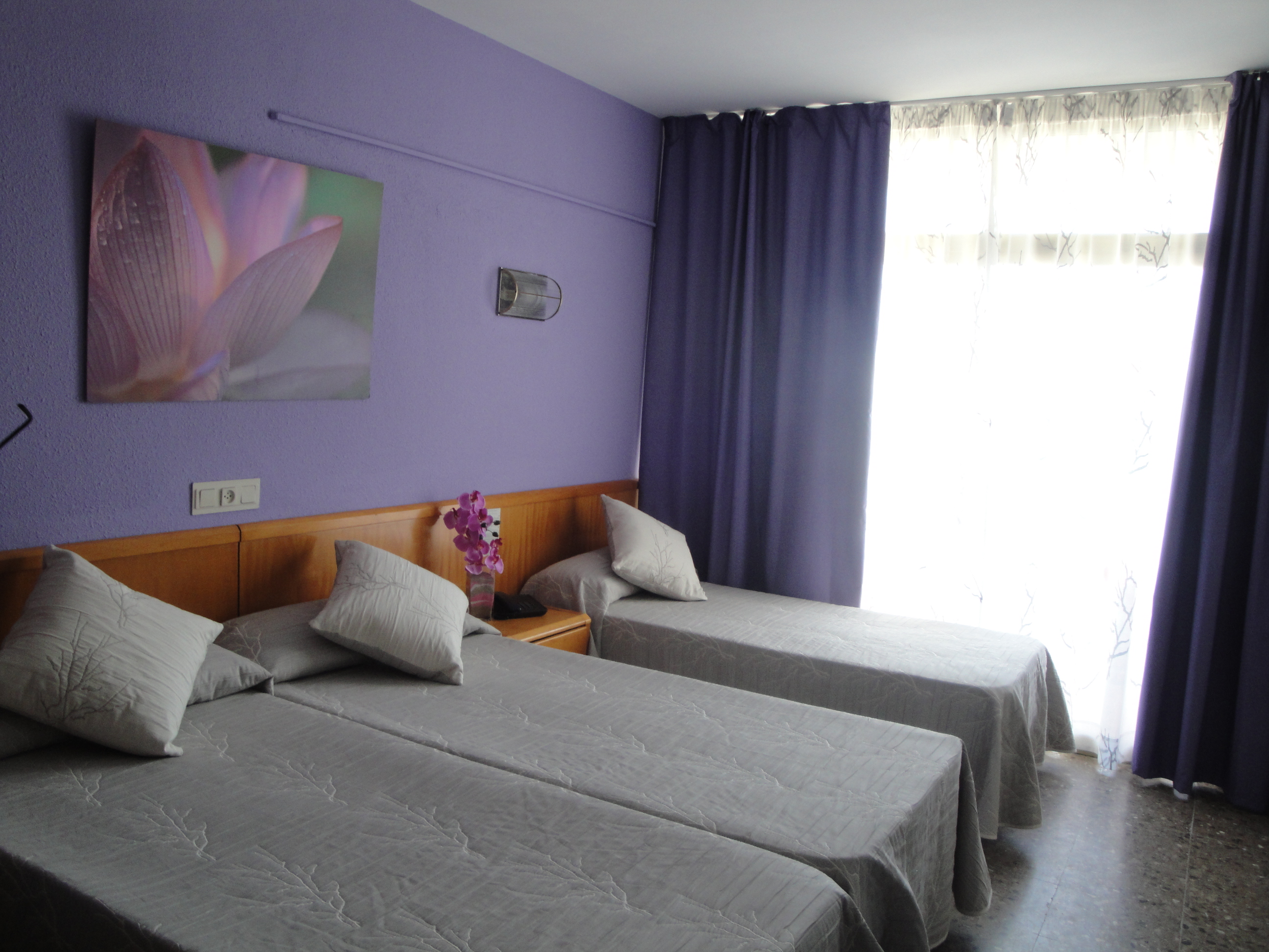 Double or Twin Capacity 3