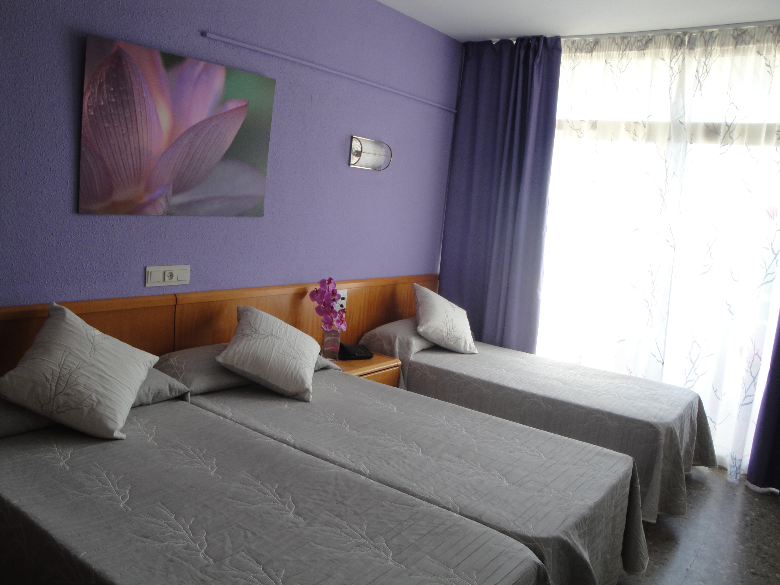 Double or Twin Capacity 4