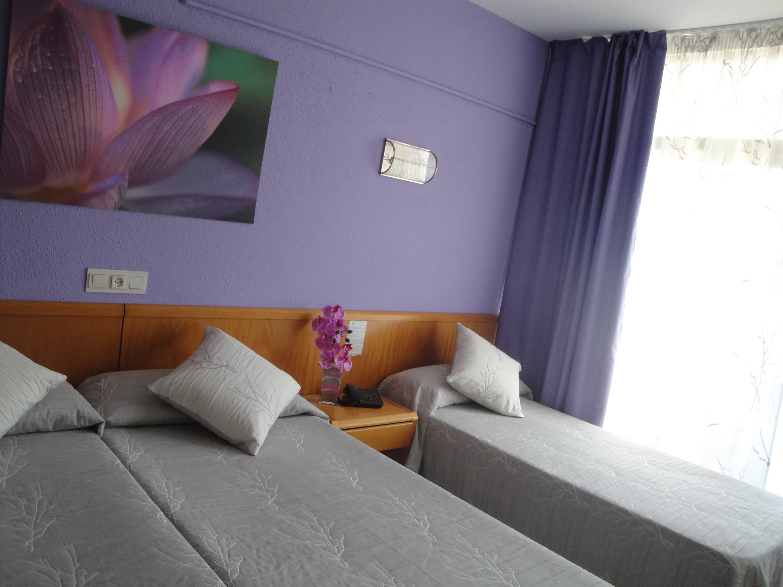 Double or Twin Capacity 3