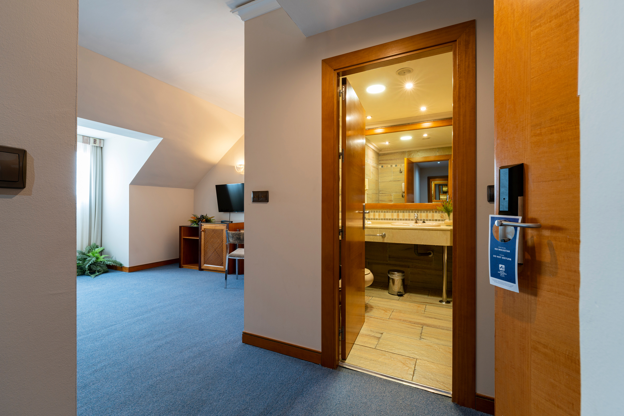 Double or Twin Standard