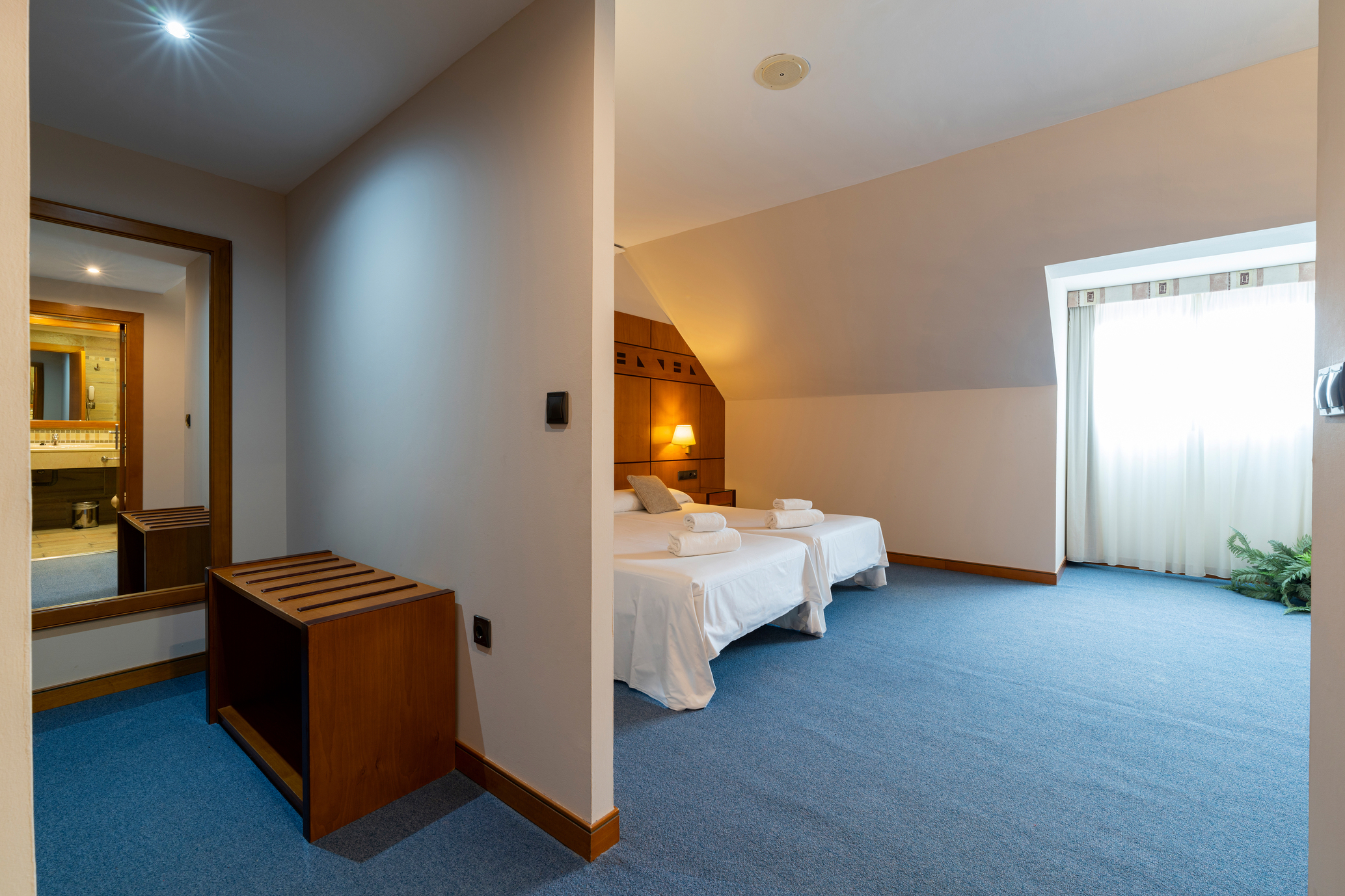 Double or Twin Standard