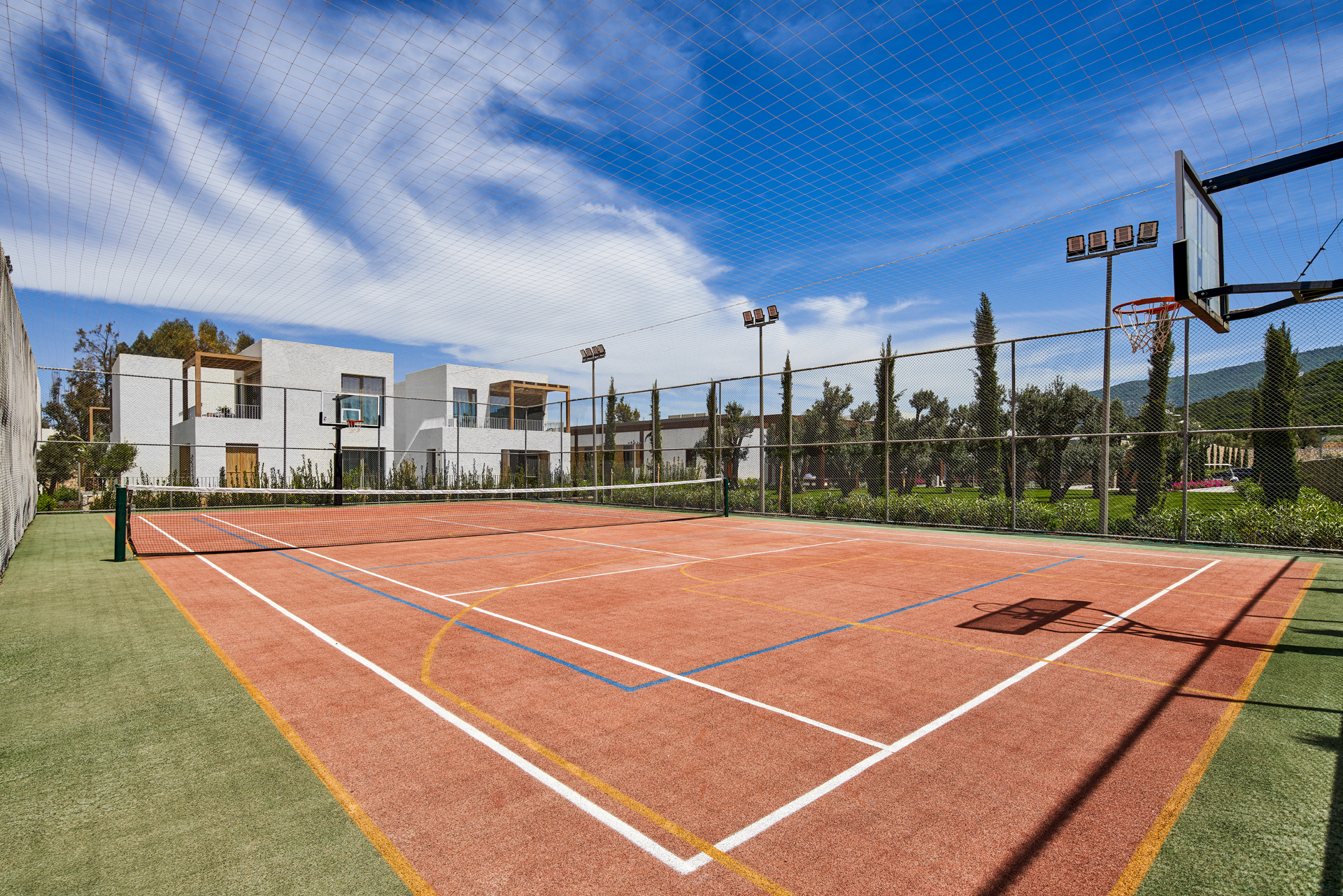 Sports and Entertainment