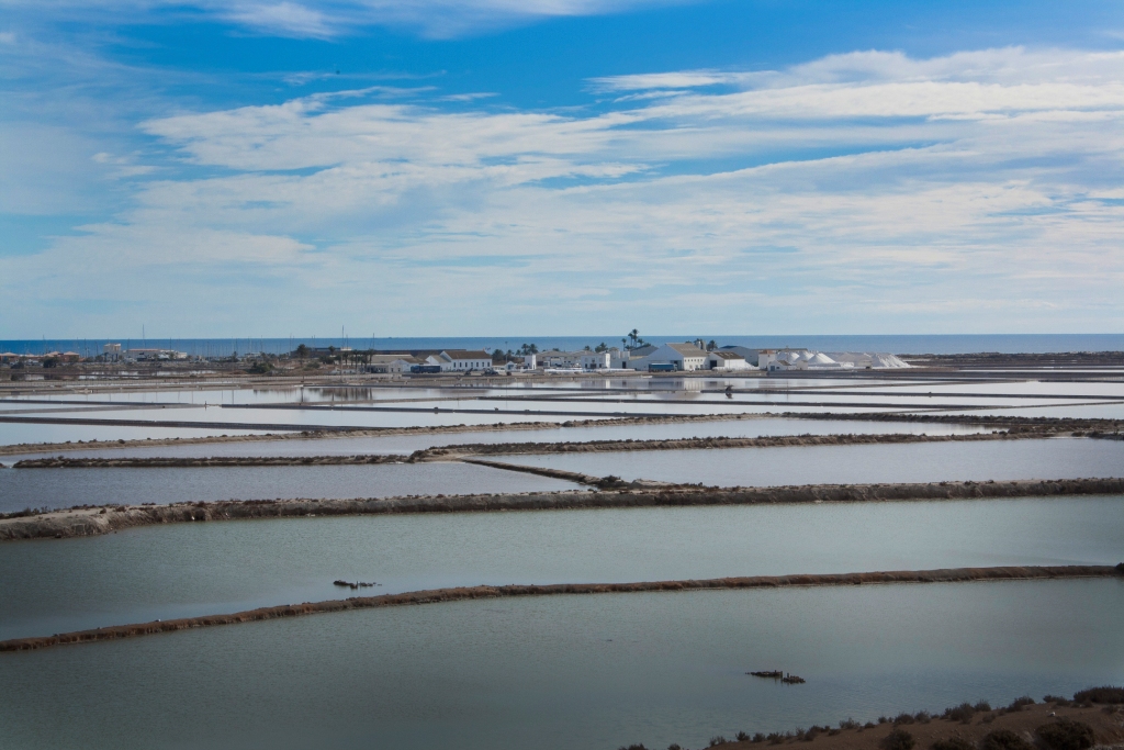 Double or Twin Park View