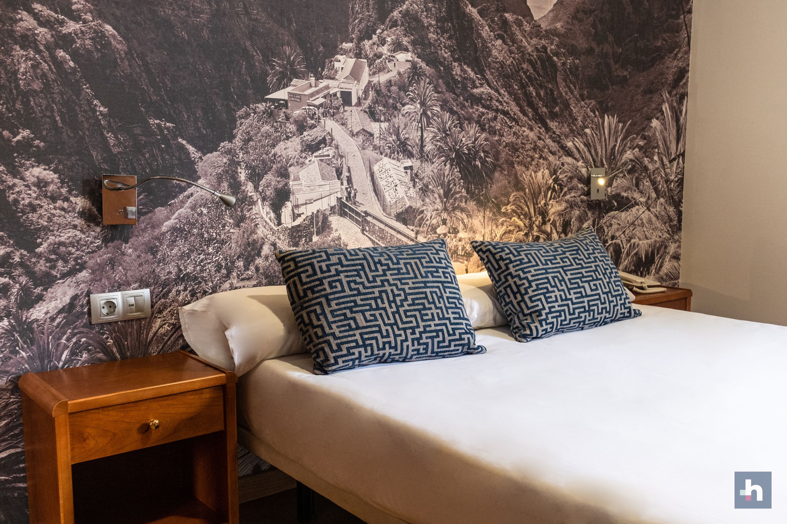 Double or Twin Standard