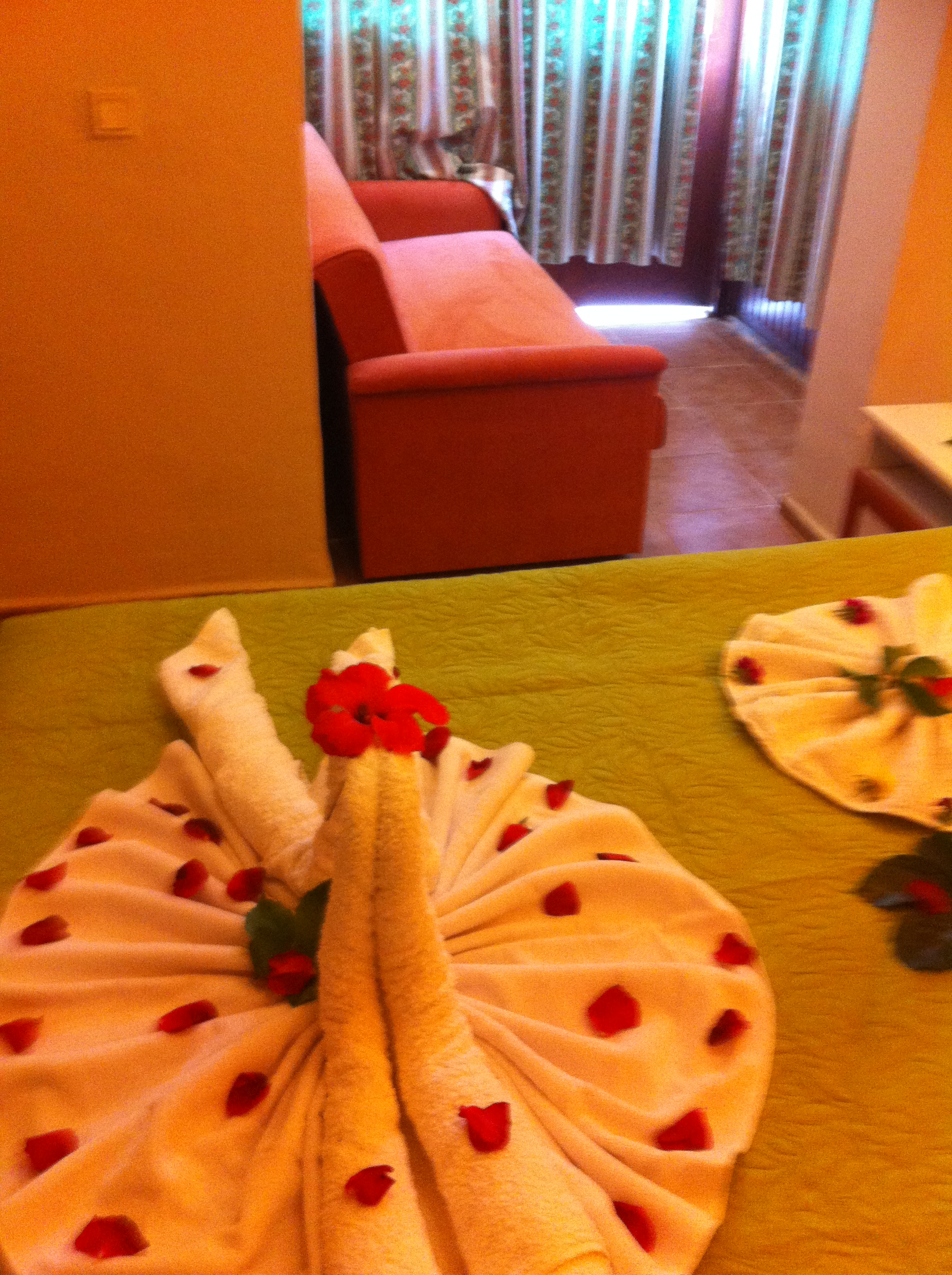 Double Single Standard