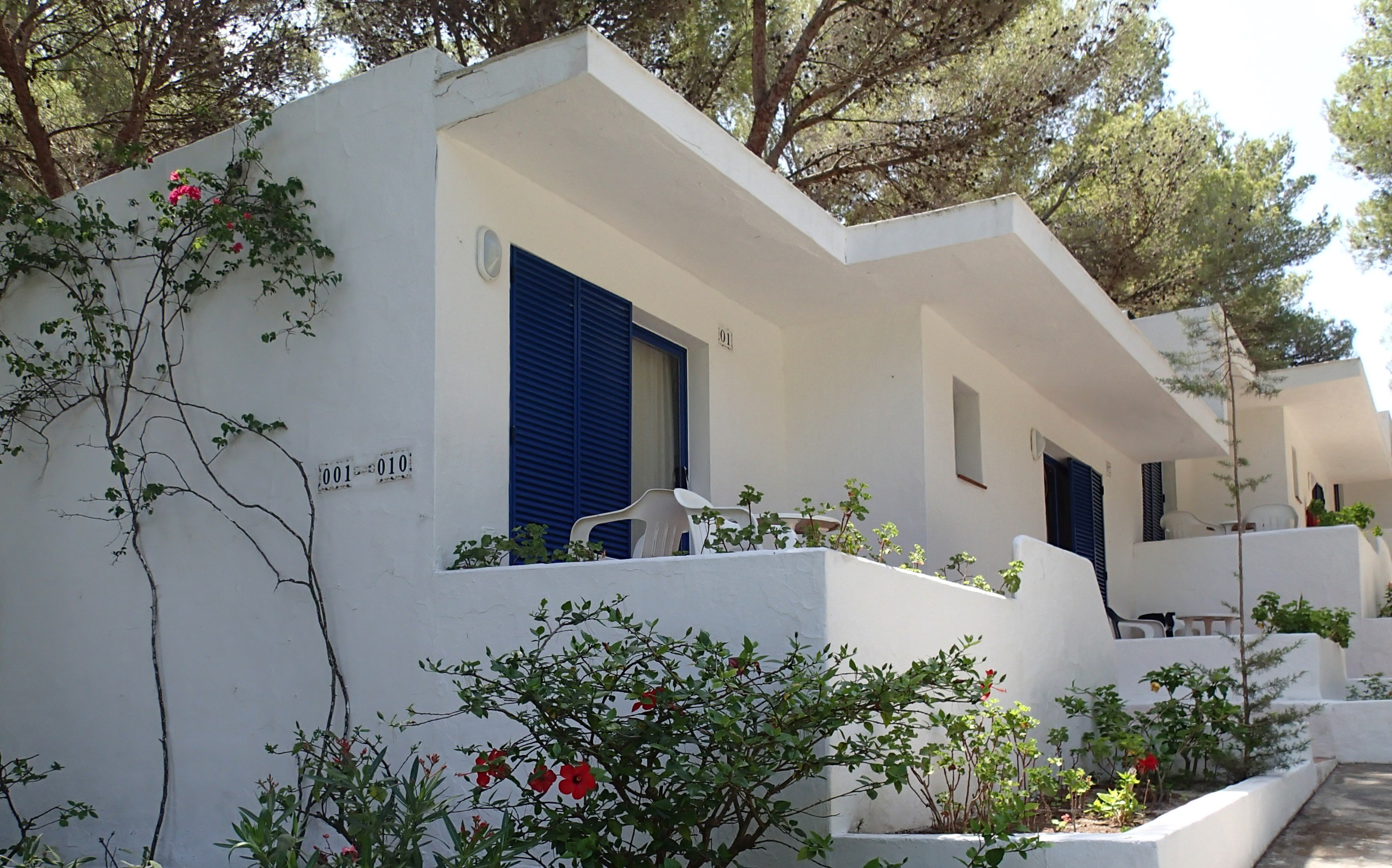 Double or Twin Standard