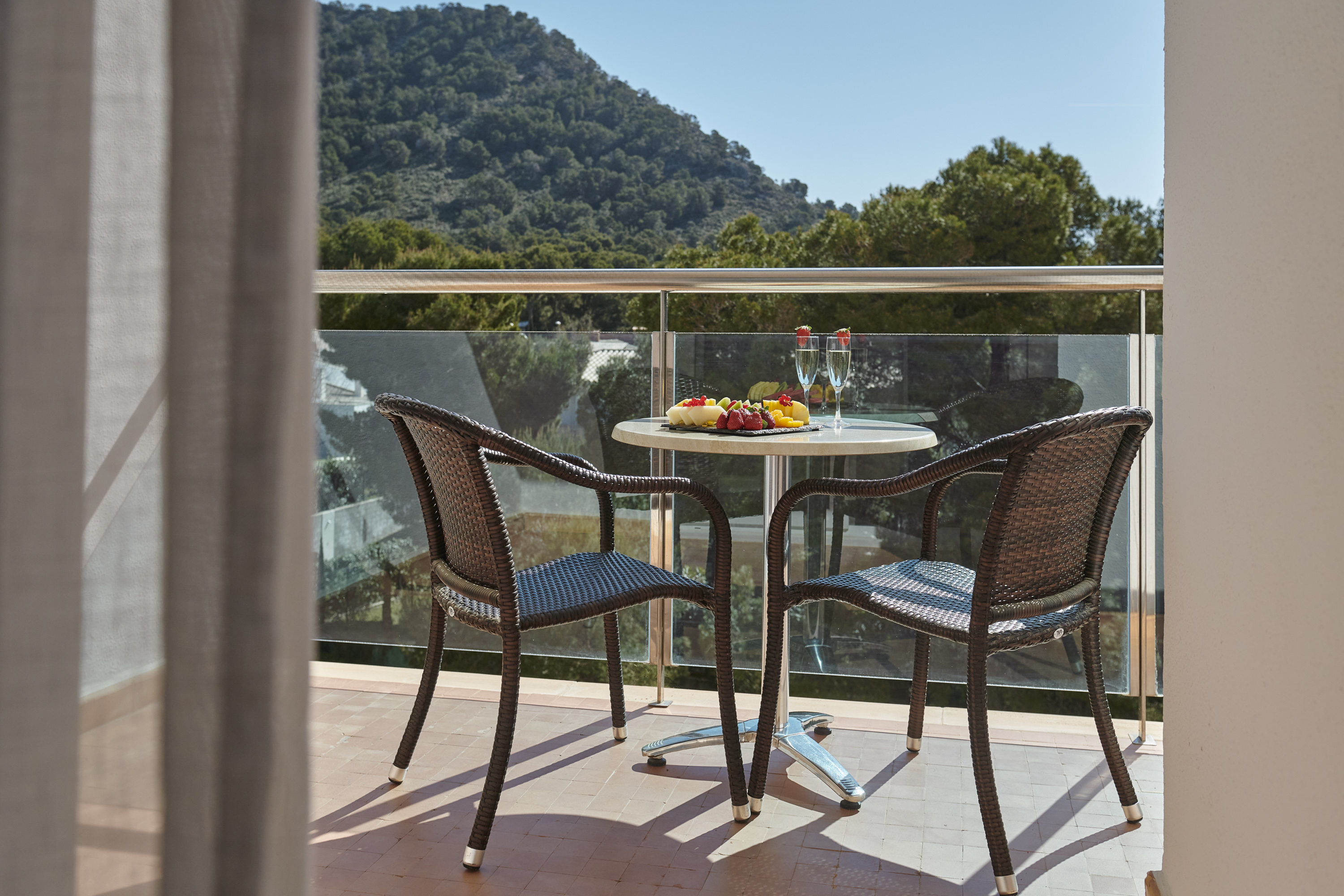 Double or Twin Economy