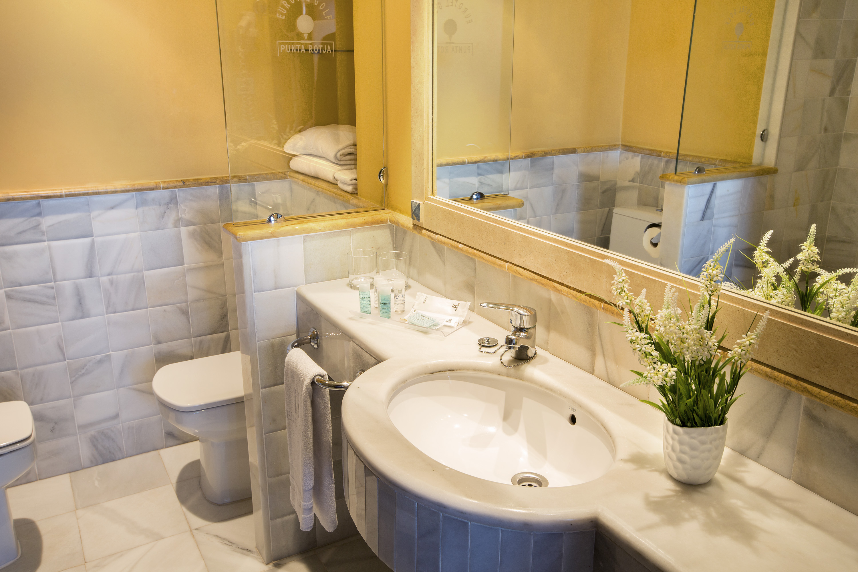 Double or Twin Economy