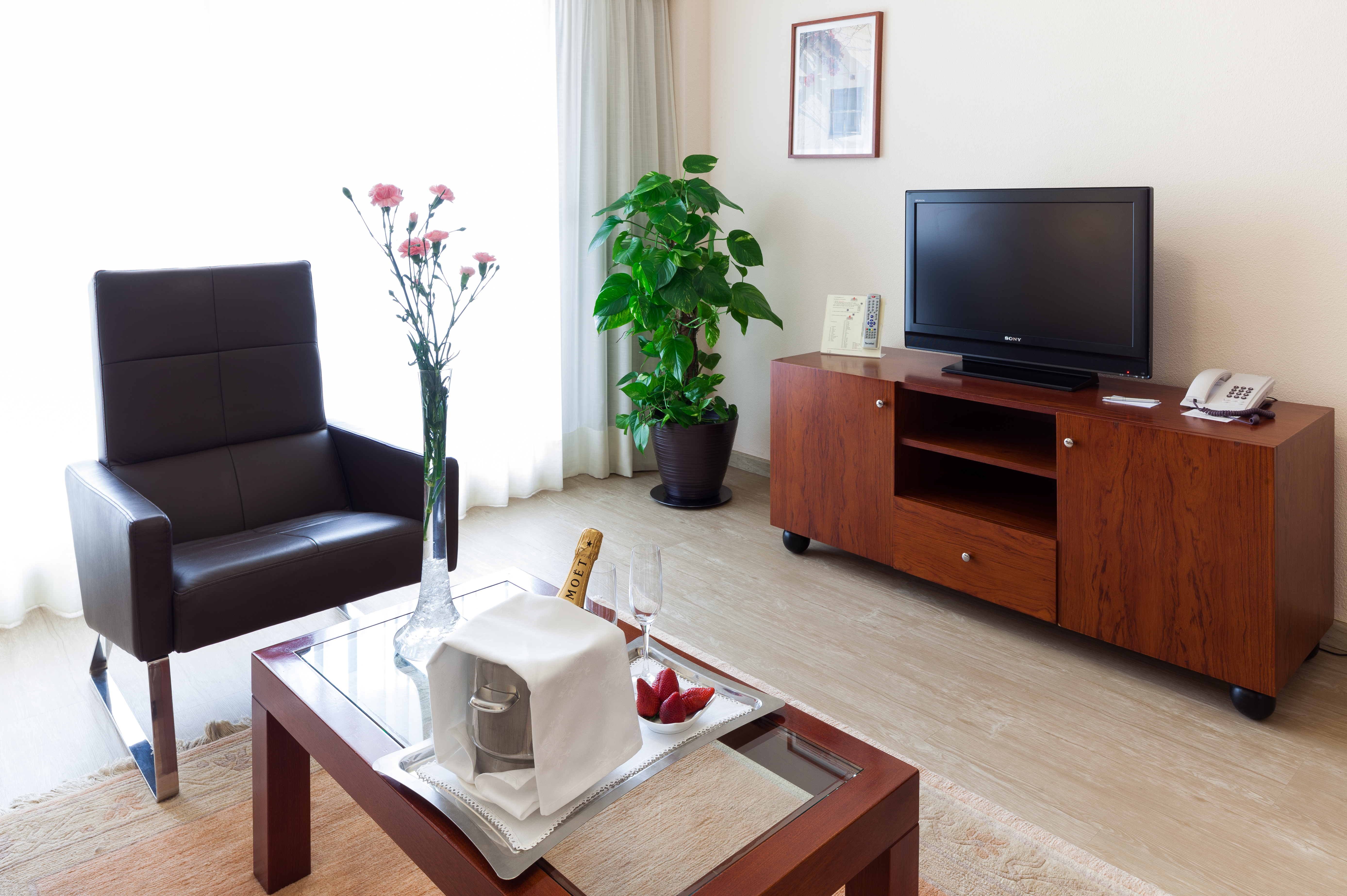 Junior Suite Standard