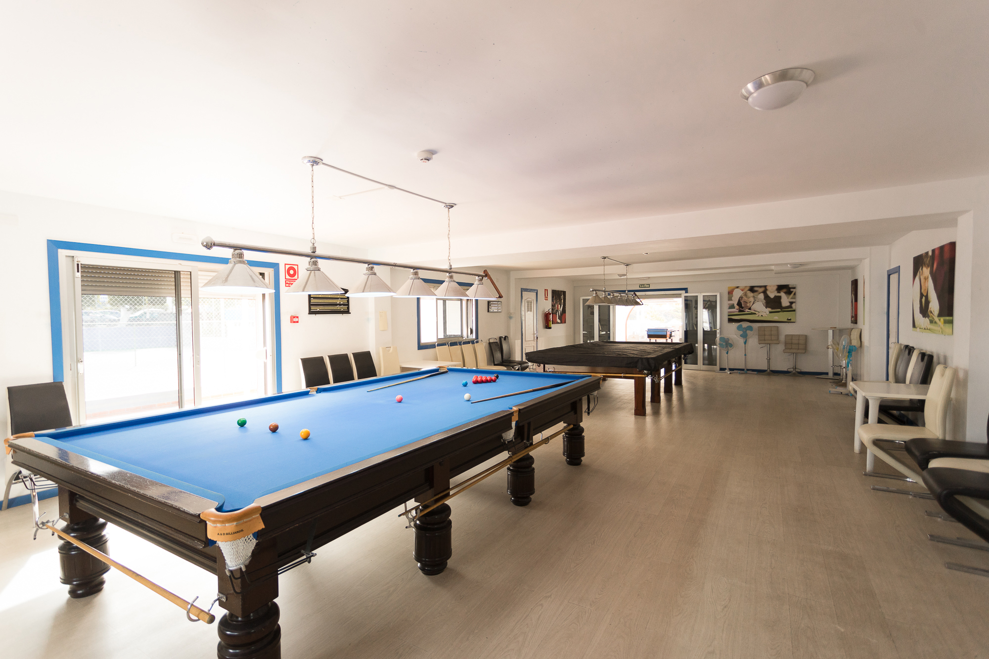 Sports and Entertainment