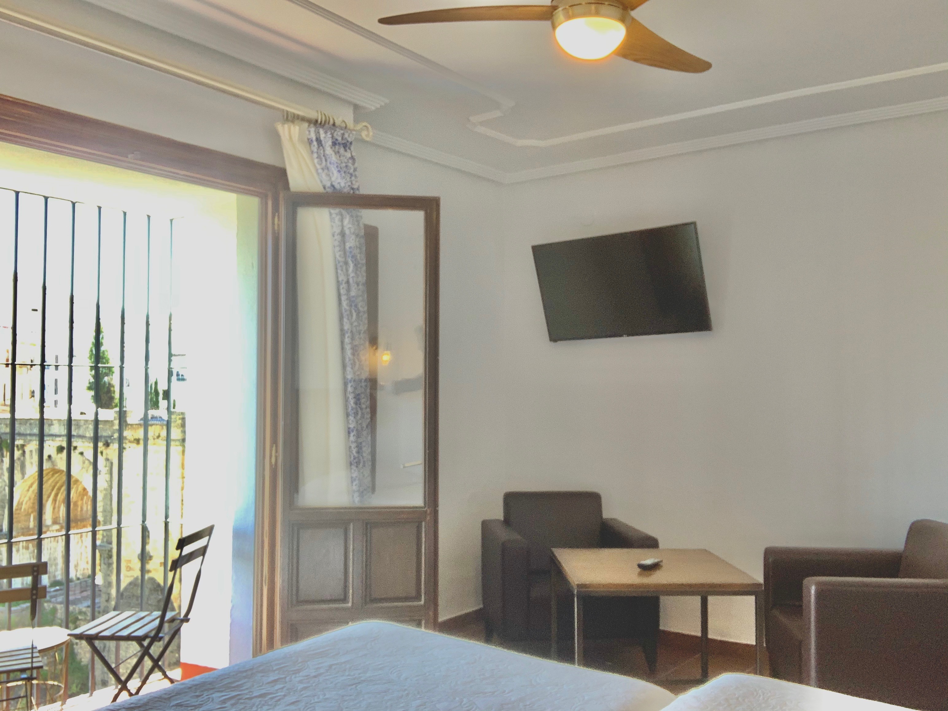 Double Park View with Balcony