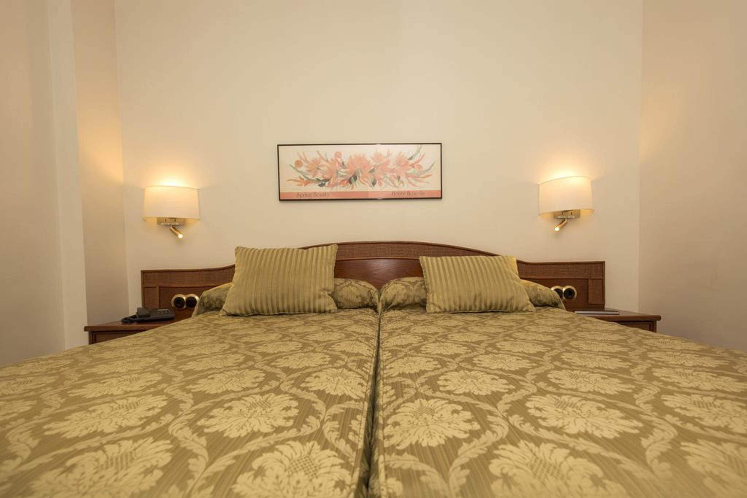 Double or Twin Standard