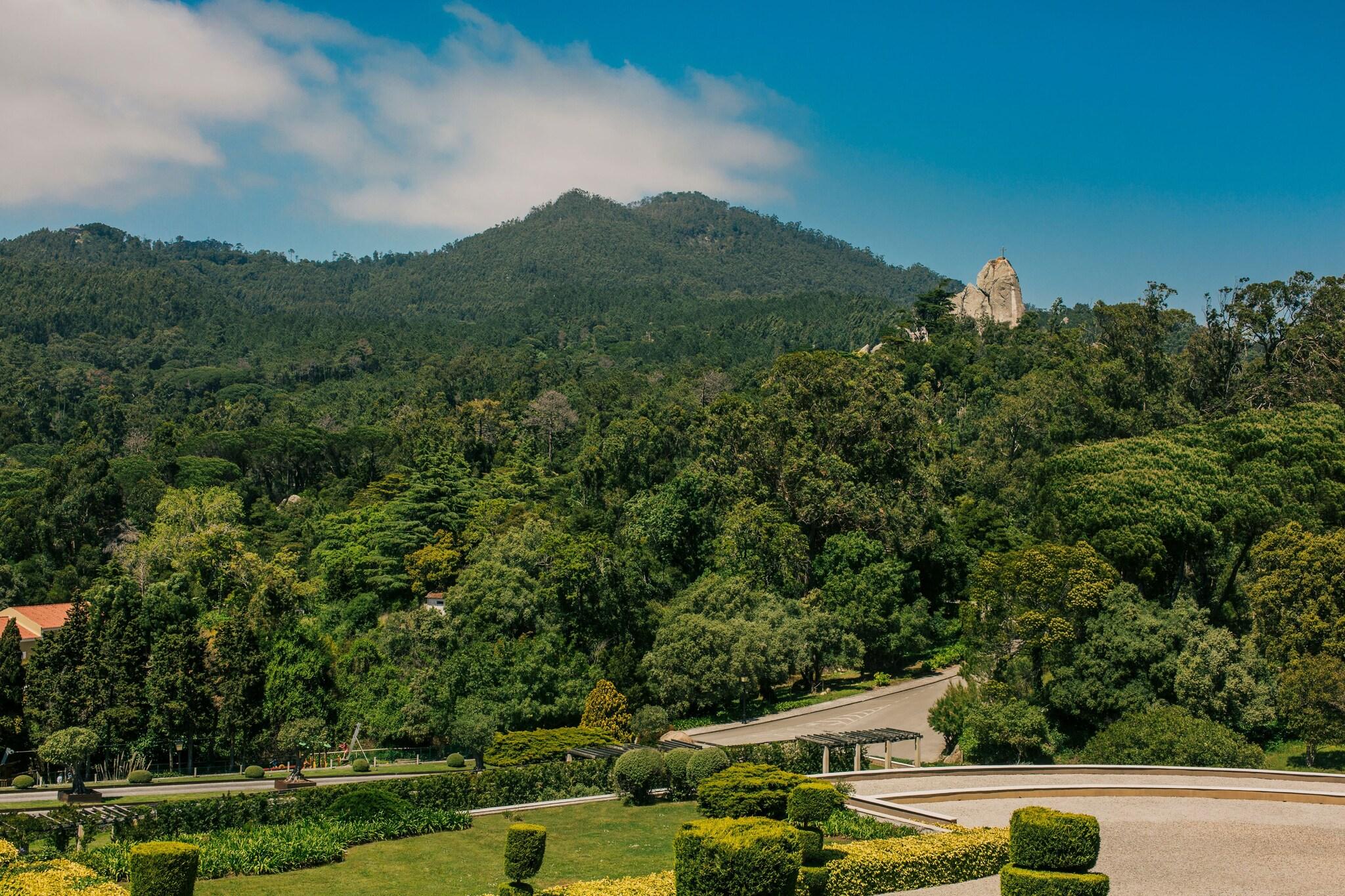 Junior Suite Resort View