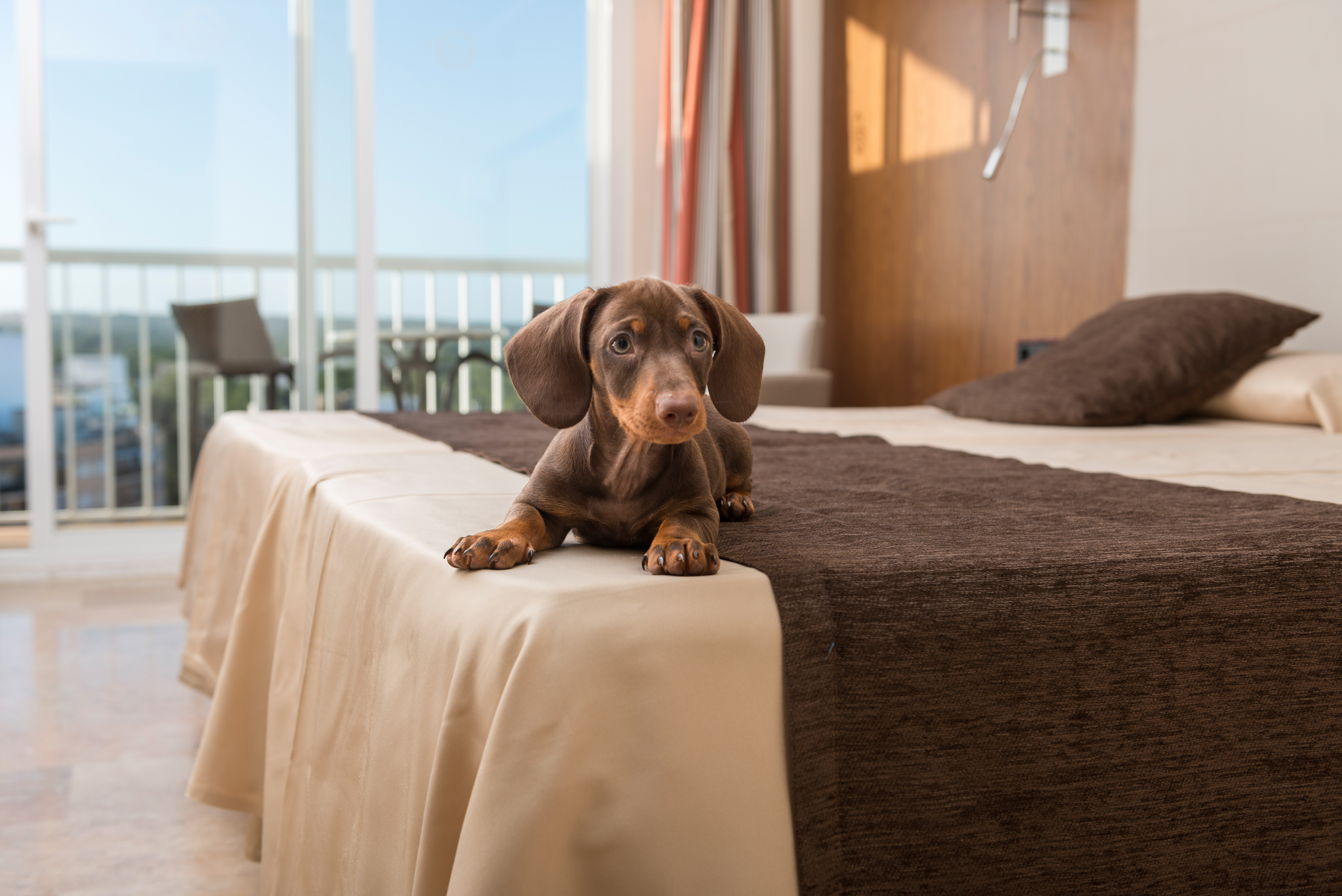 Double Single Standard