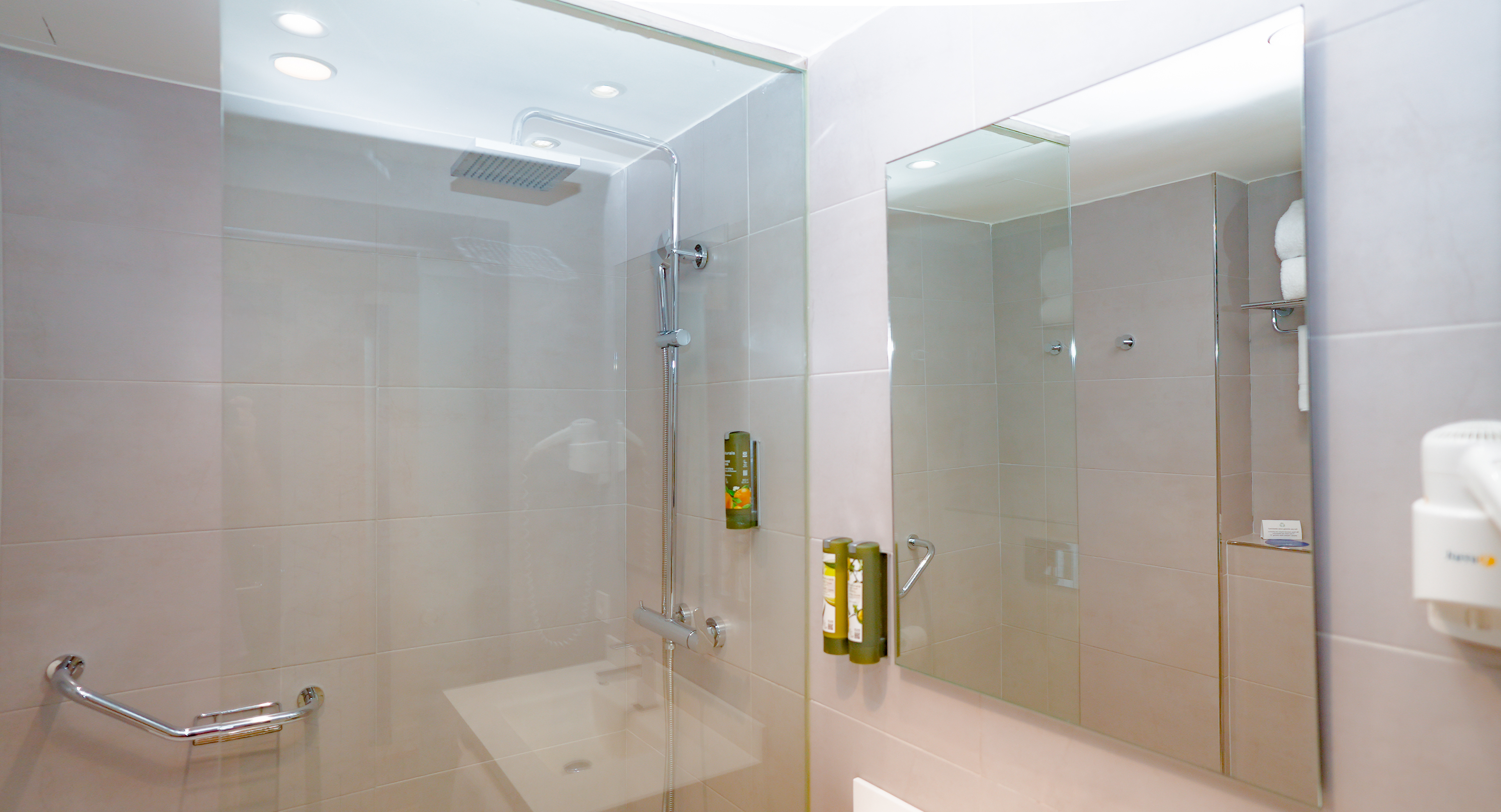 Double or Twin Economy