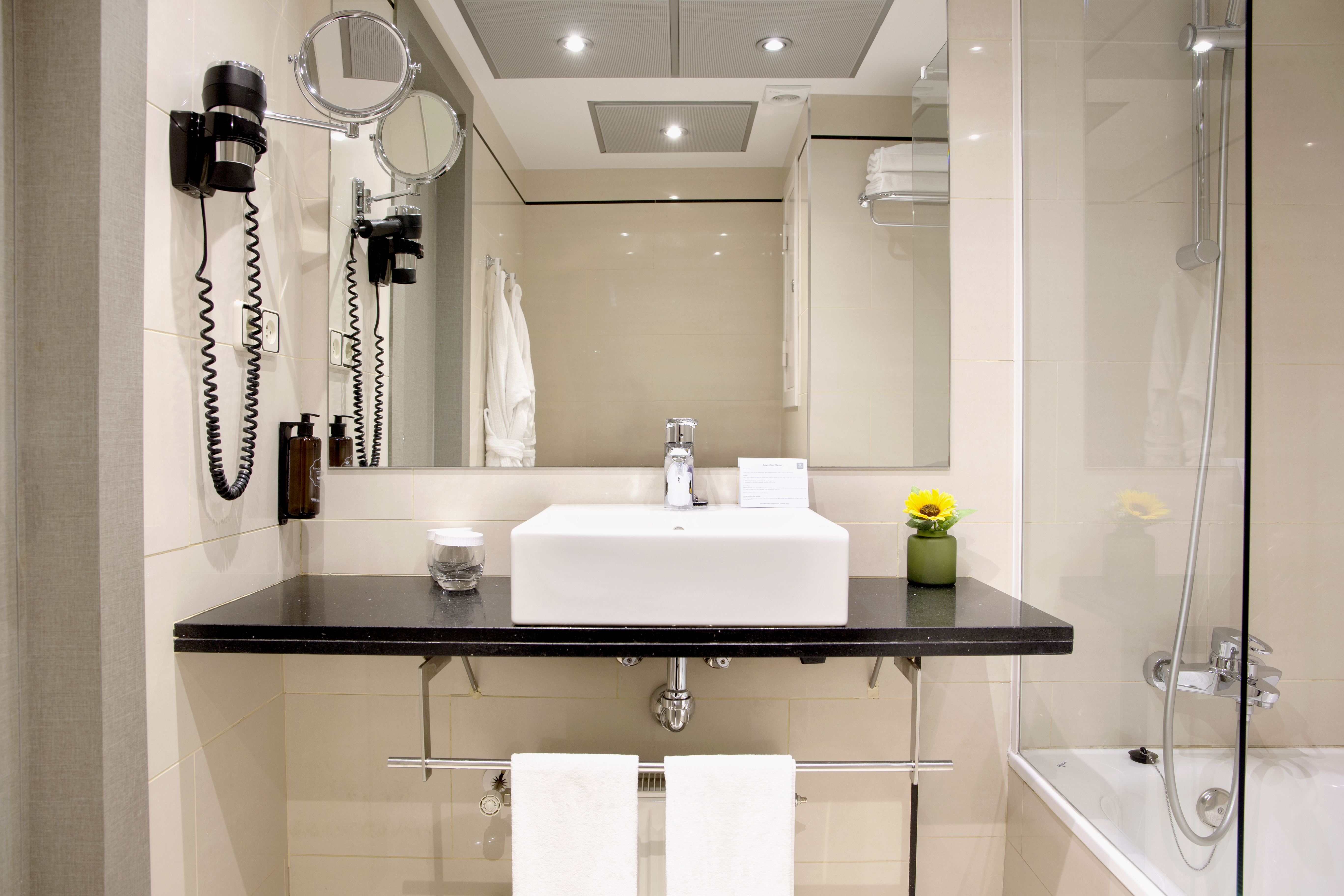 Double or Twin Standard