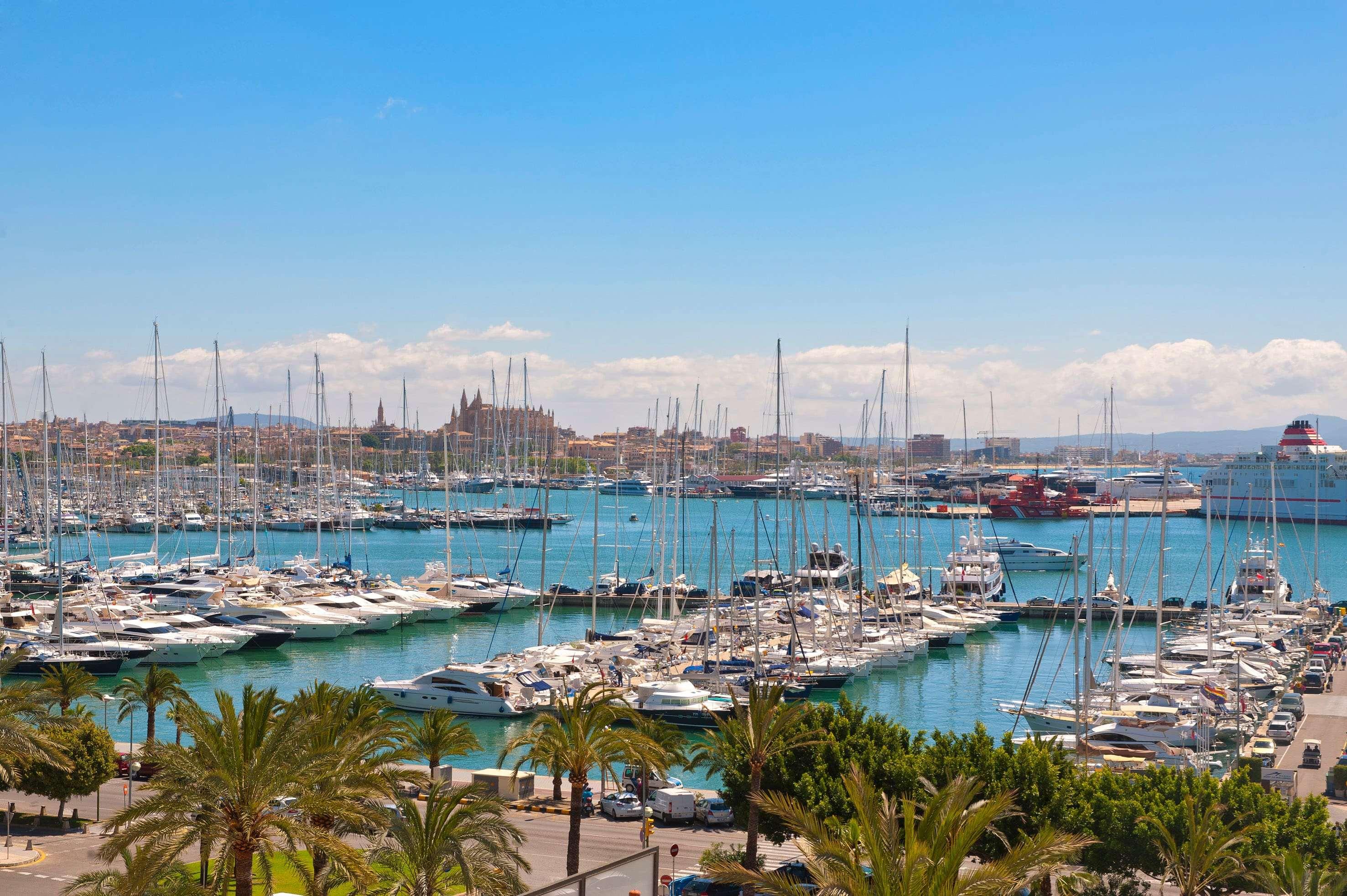 Junior Suite with Views