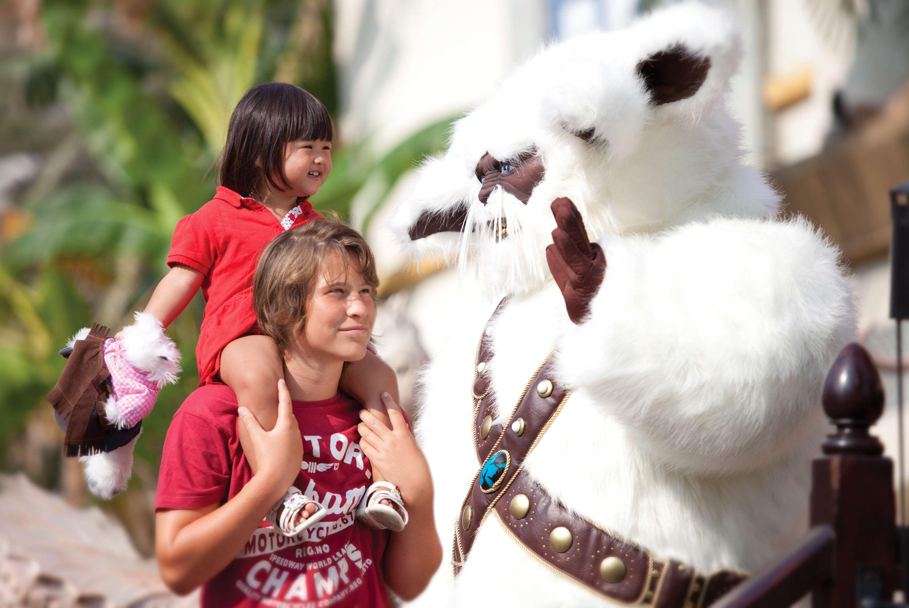 Sports and Entertainment