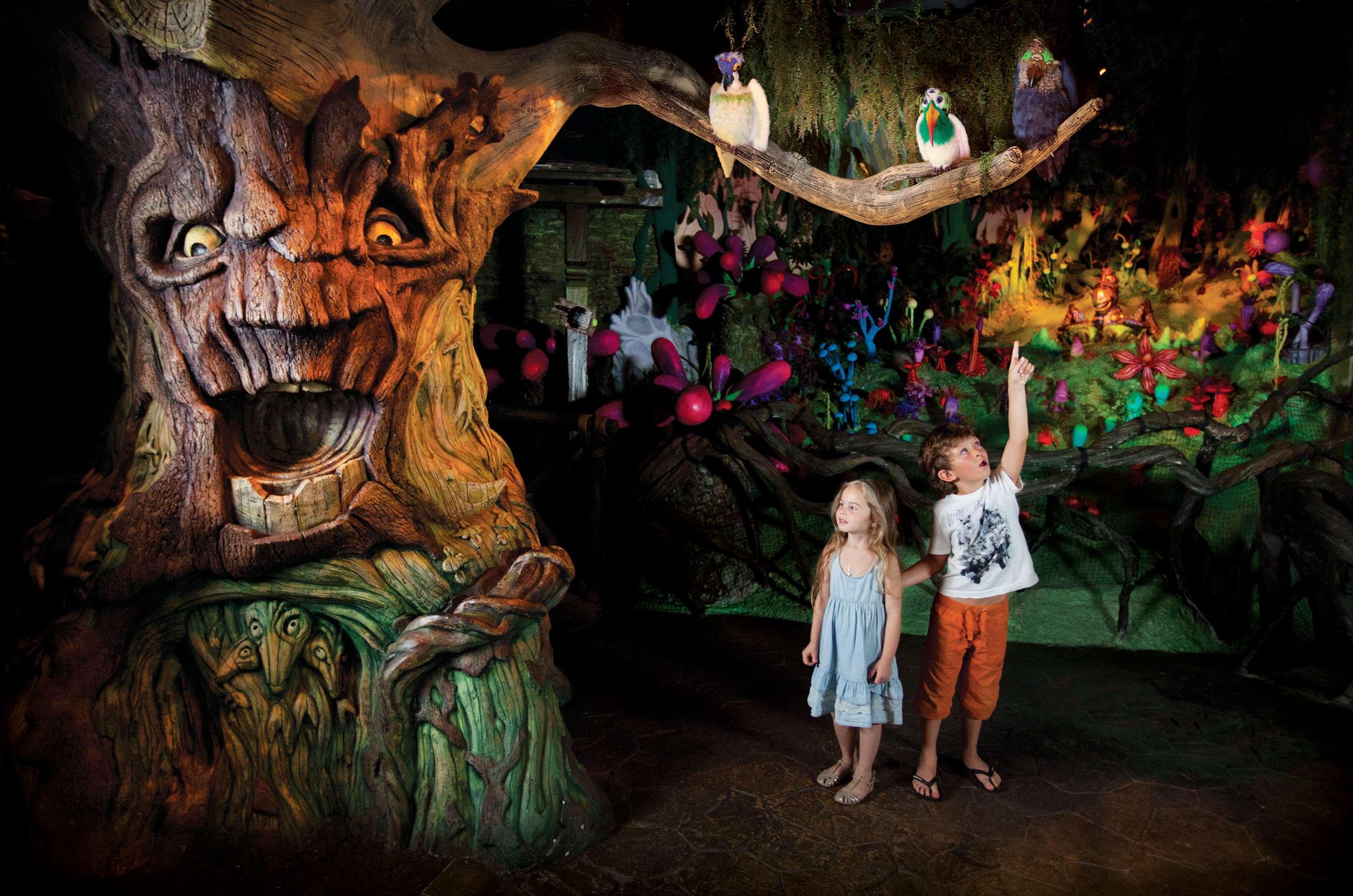 Sports and Entertainment