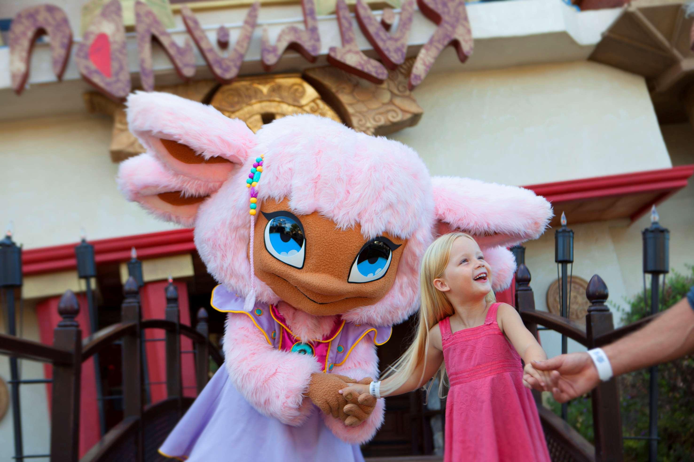 Sports and Entertainment