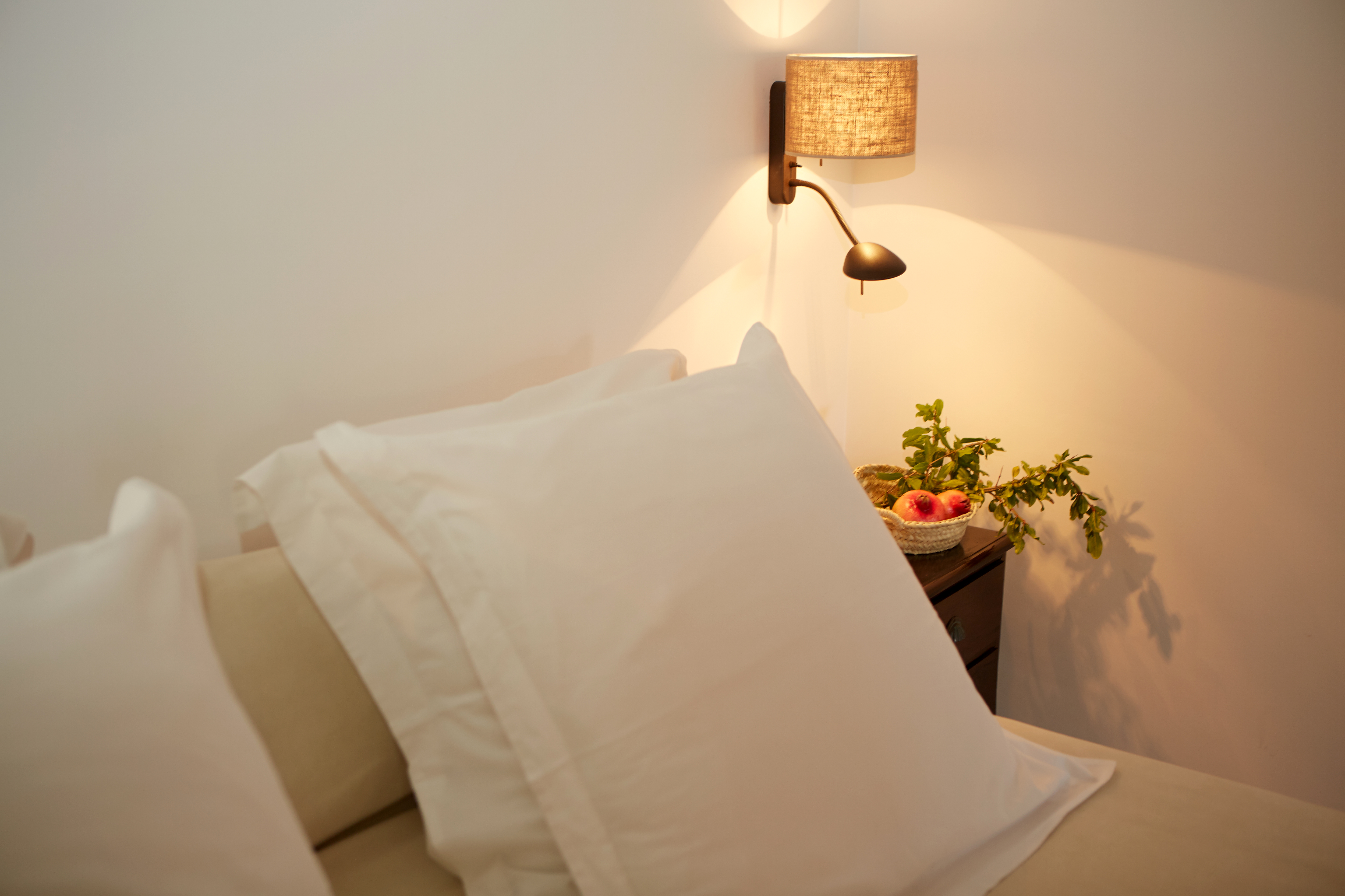 Junior Suite with Terrace