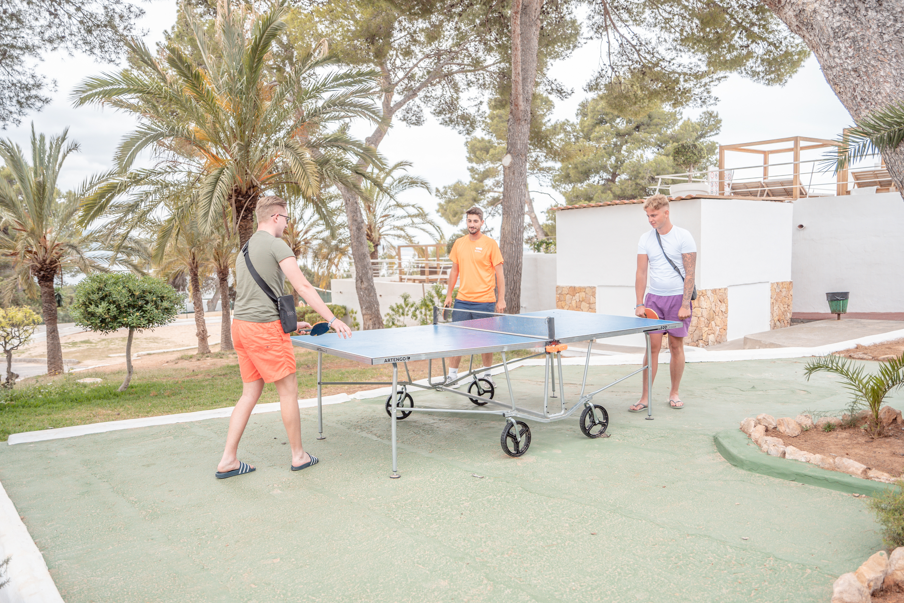 Sports and Entertainment