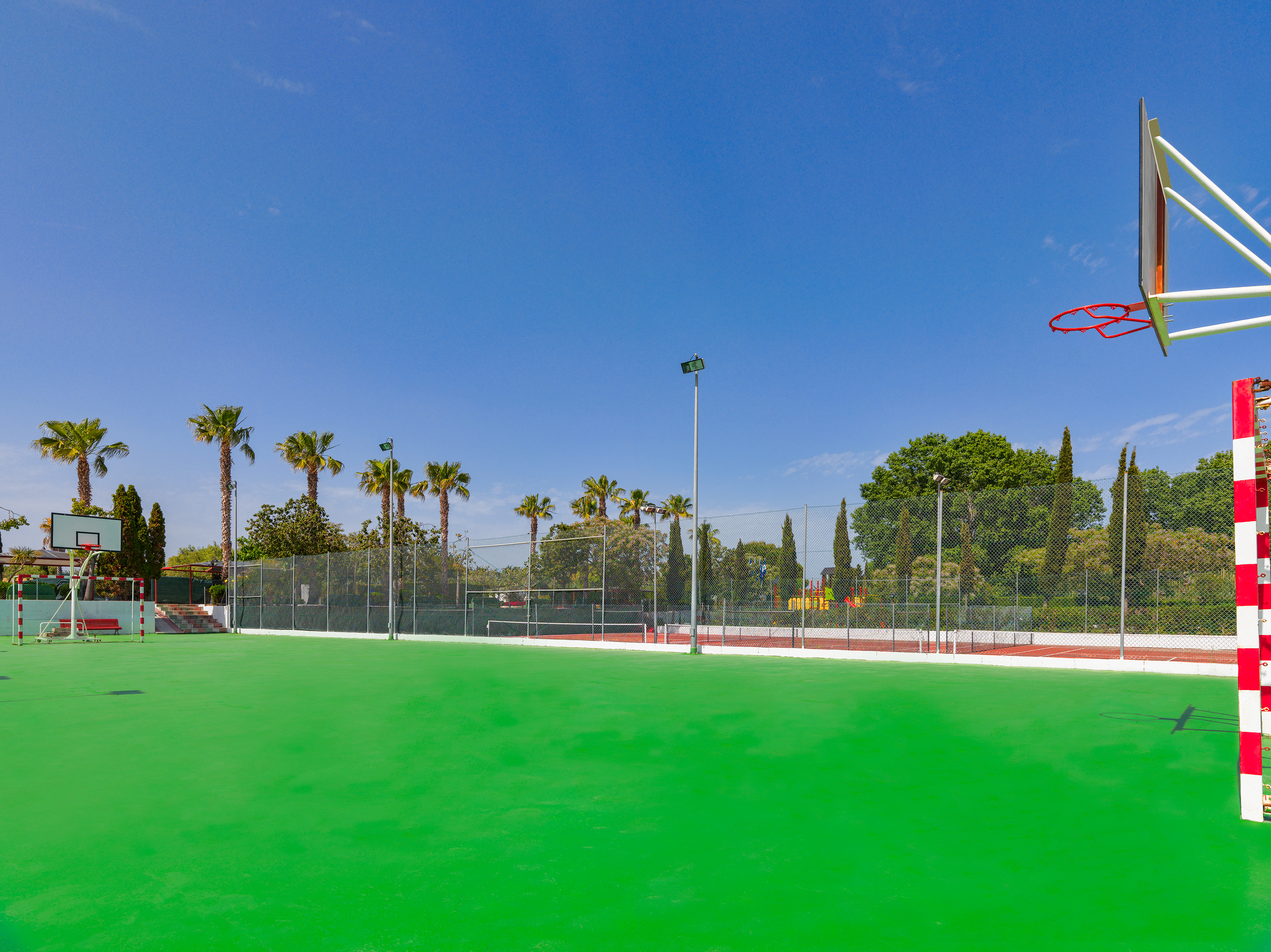 Sports and Entertainment