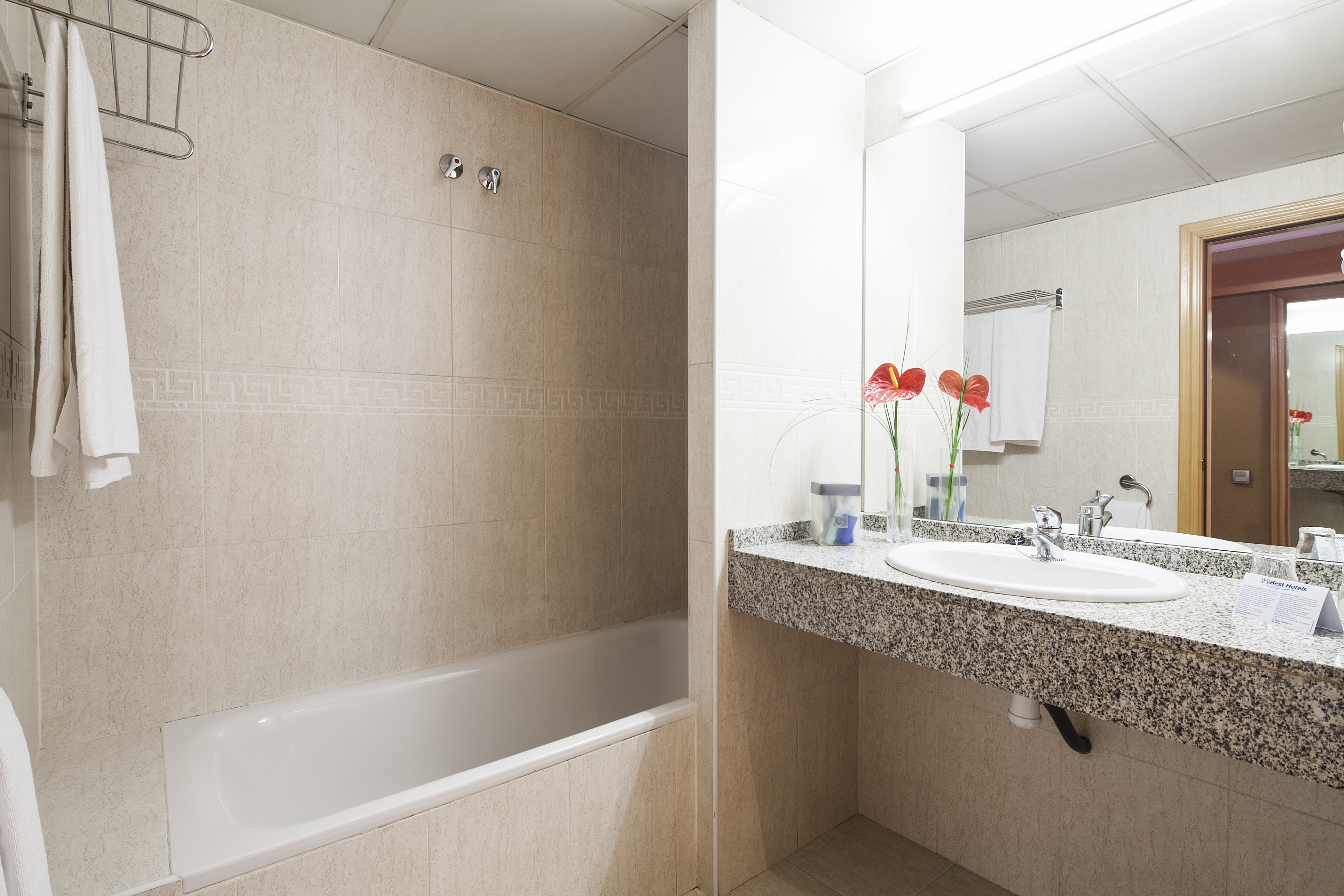 Double or Twin Standard