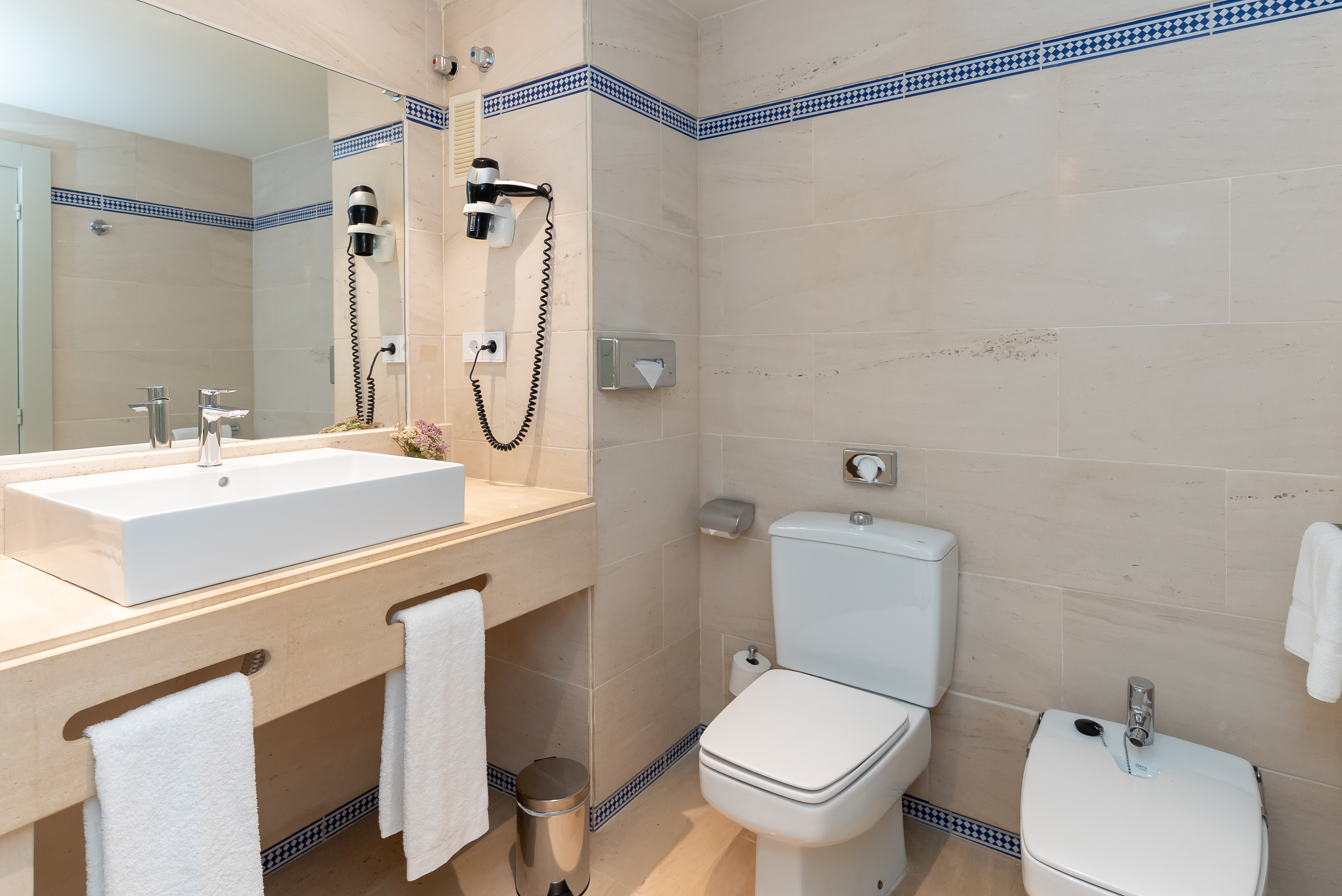 Double or Twin Superior