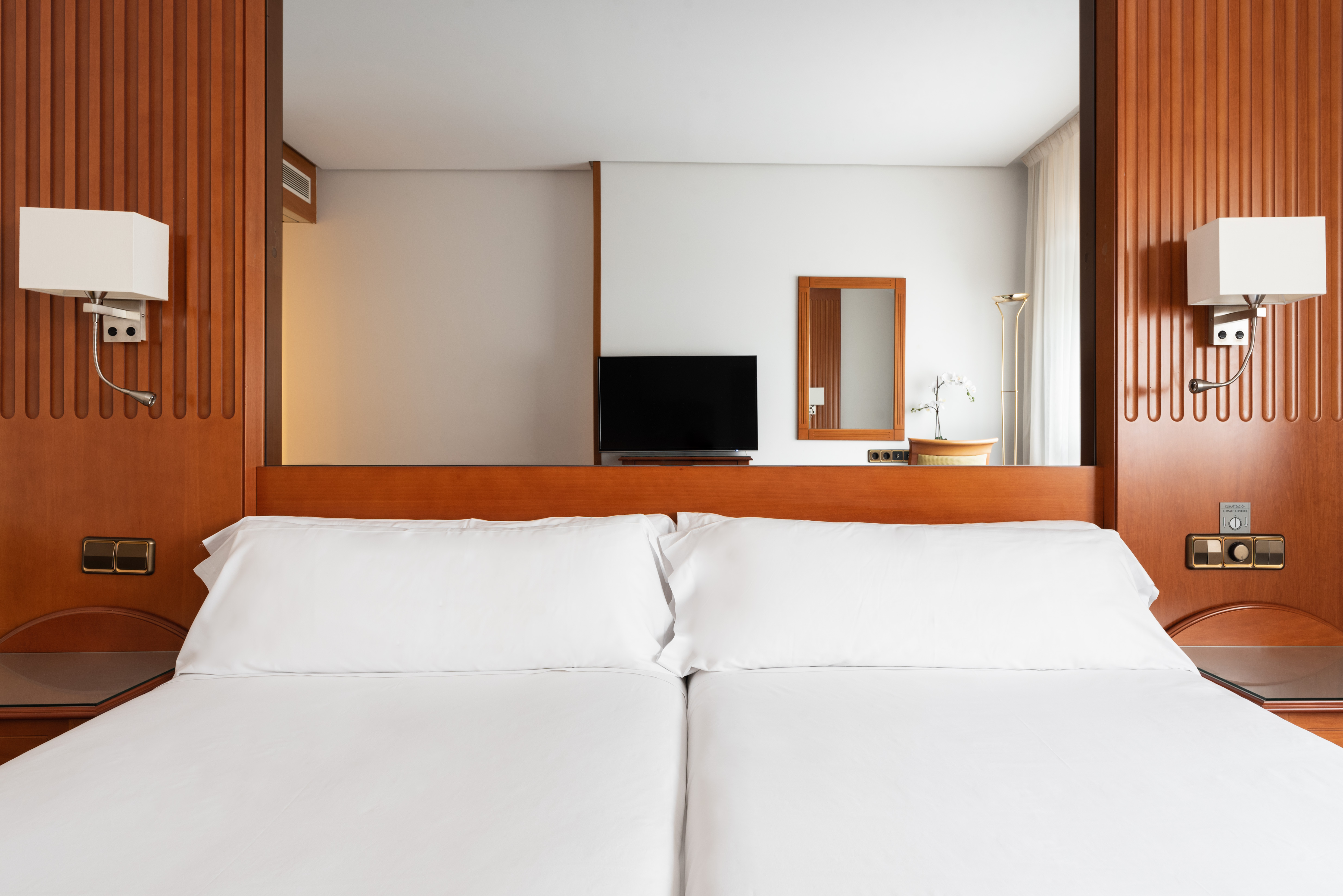 Double or Twin Standard