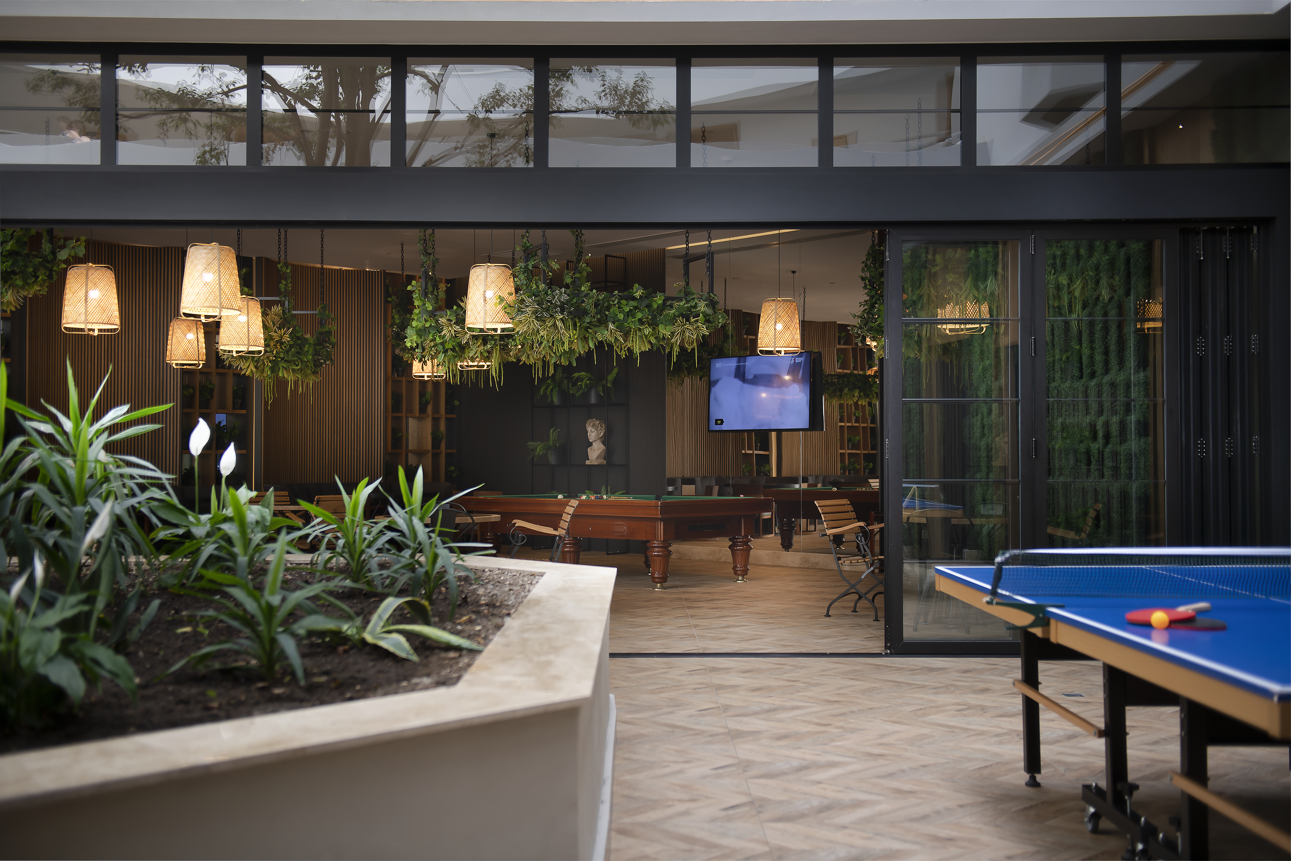 Sports and Entertainment