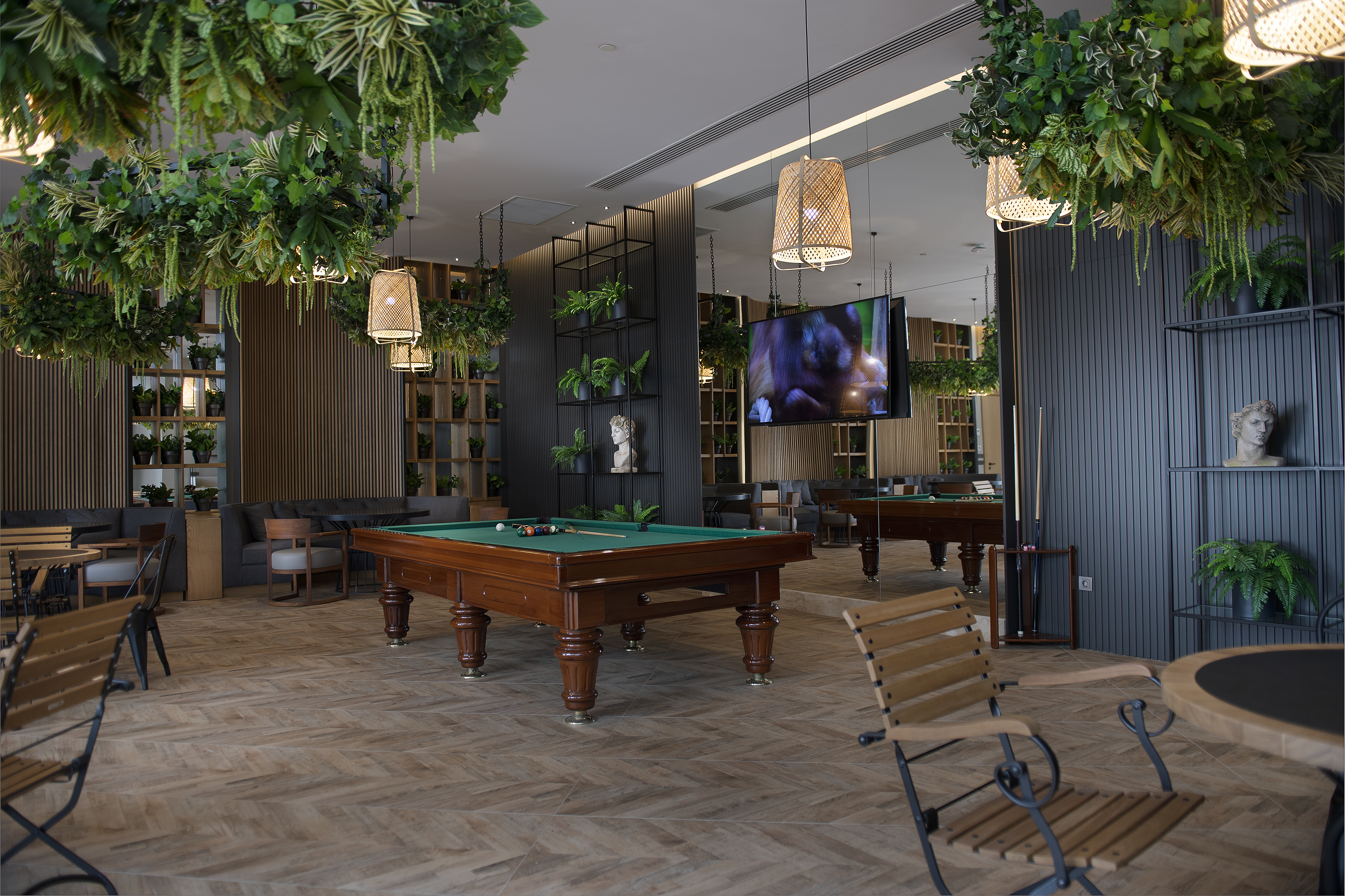 Sports and Entertainment