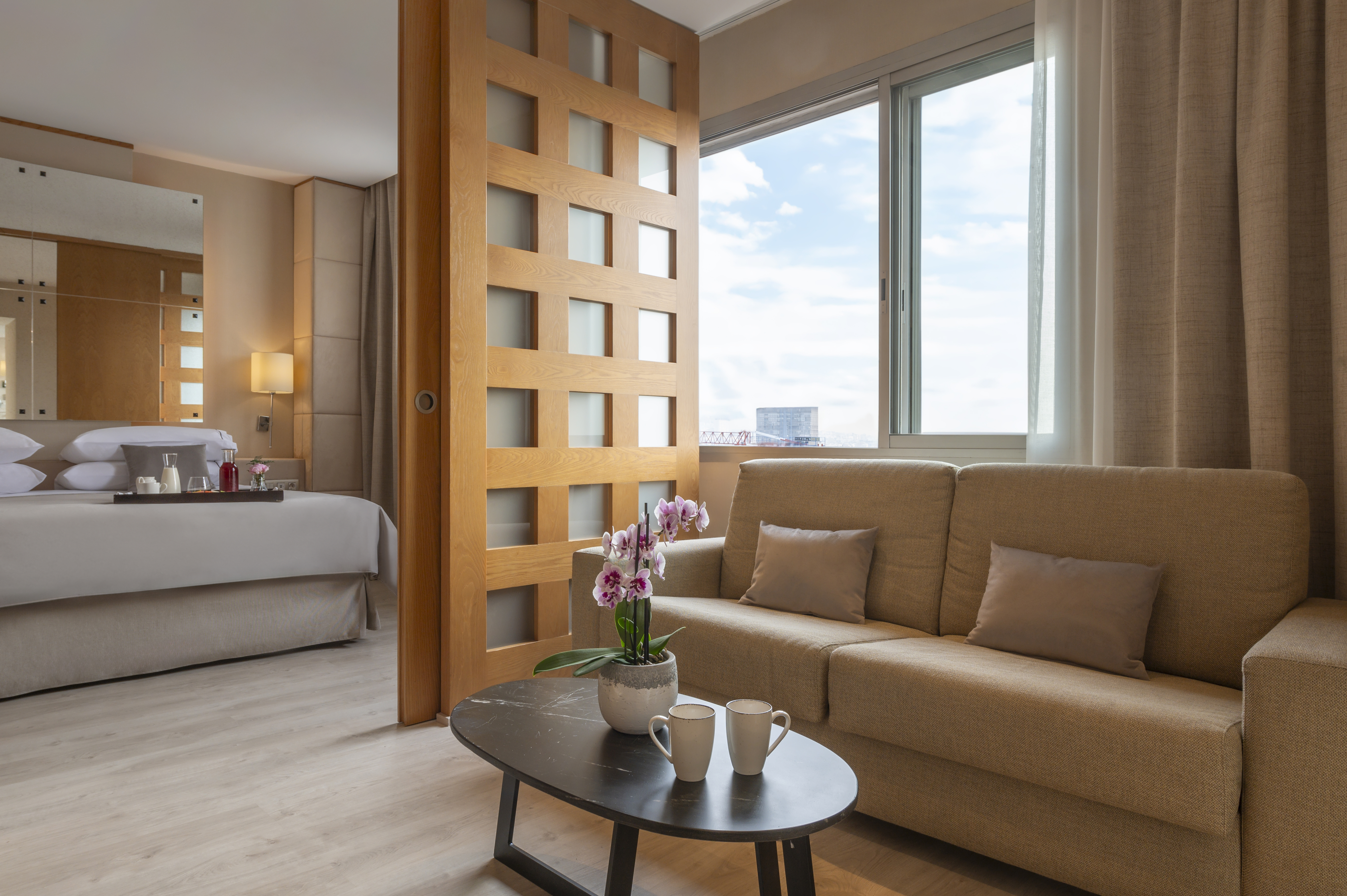 Junior Suite with Views