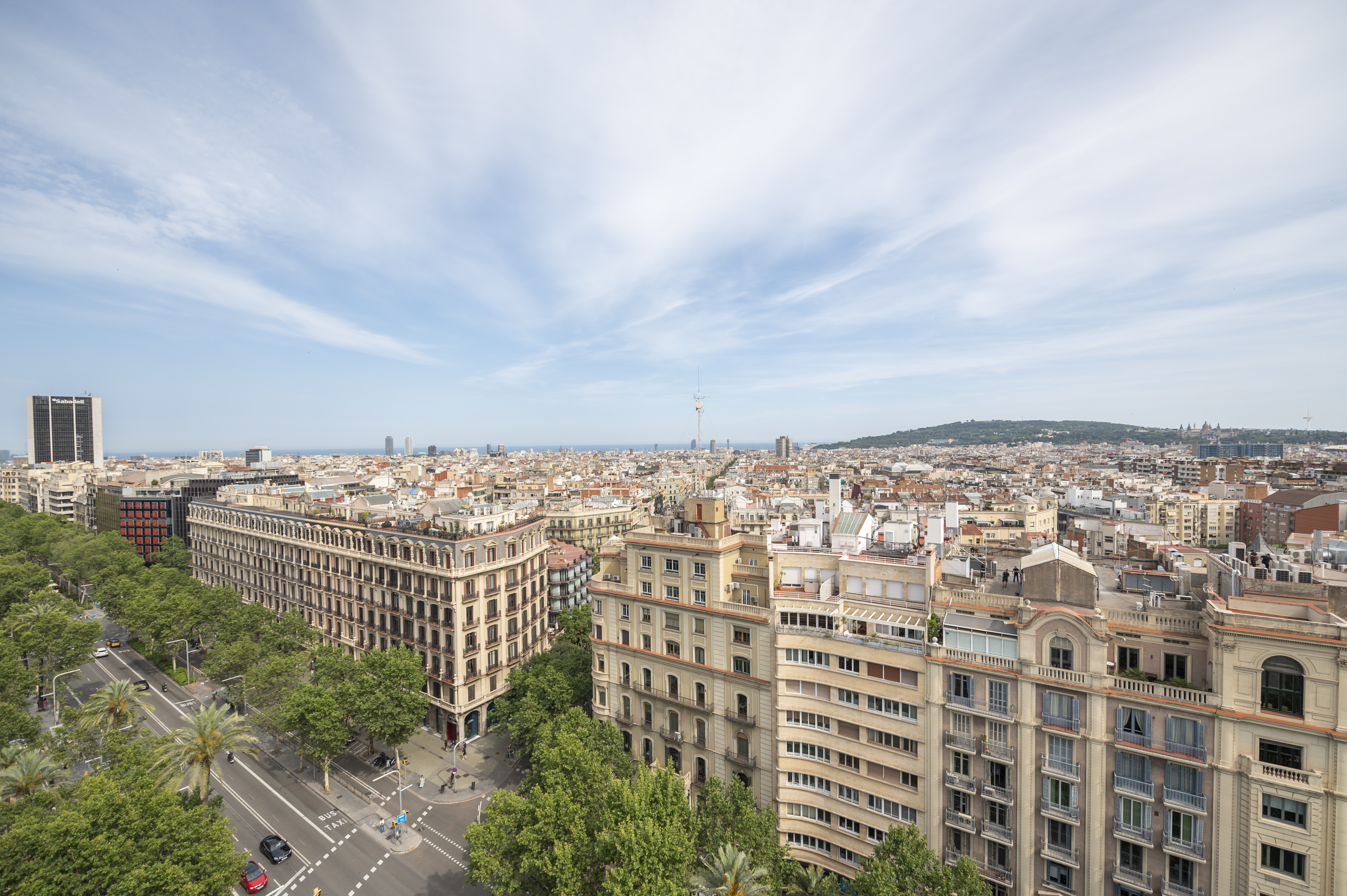 Double Superior with Views